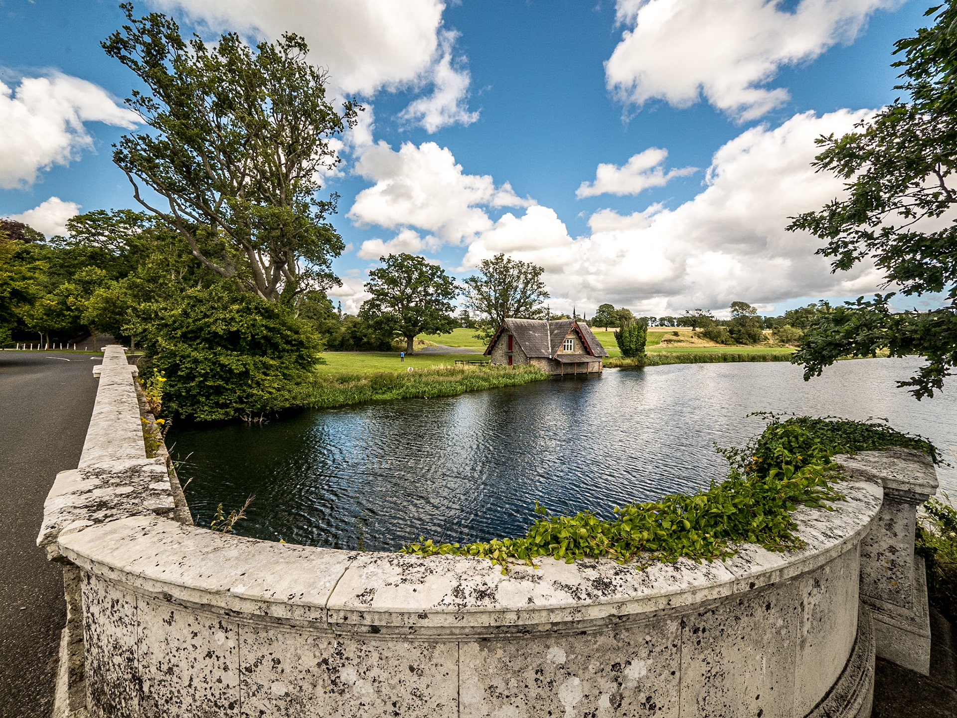Carton Demesne, Co Kildare, 10 Aug 2015