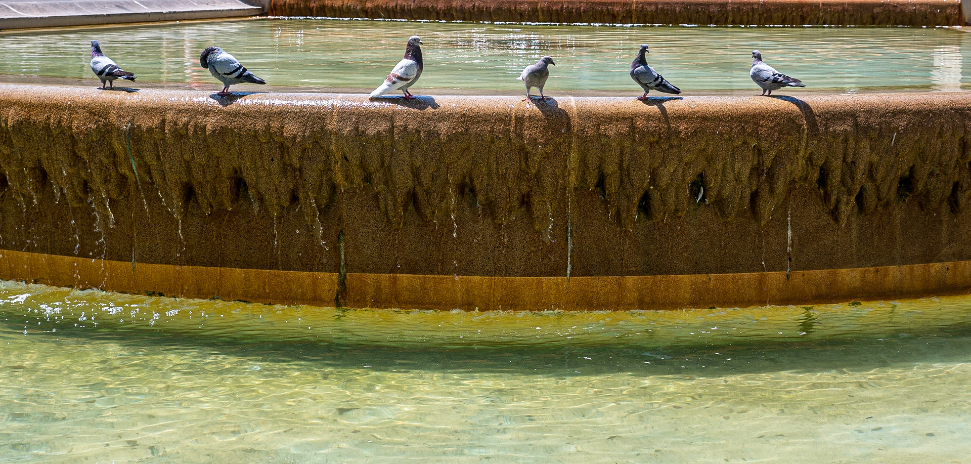 Plaça de Catalunya, Barcelona, 28 Jun 2016