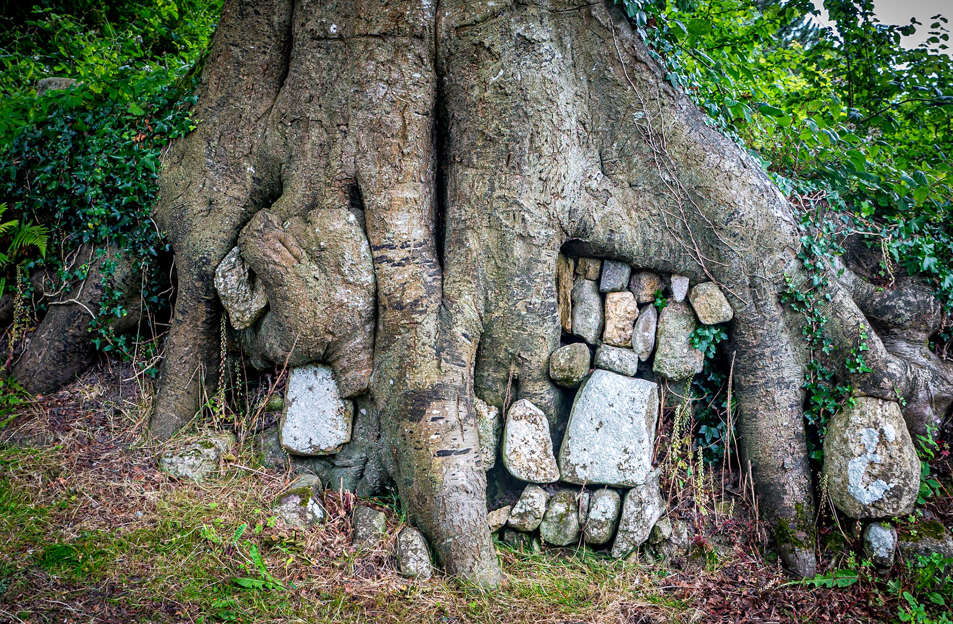 St Mullin's, Co Carlow, 4 Jul 2017