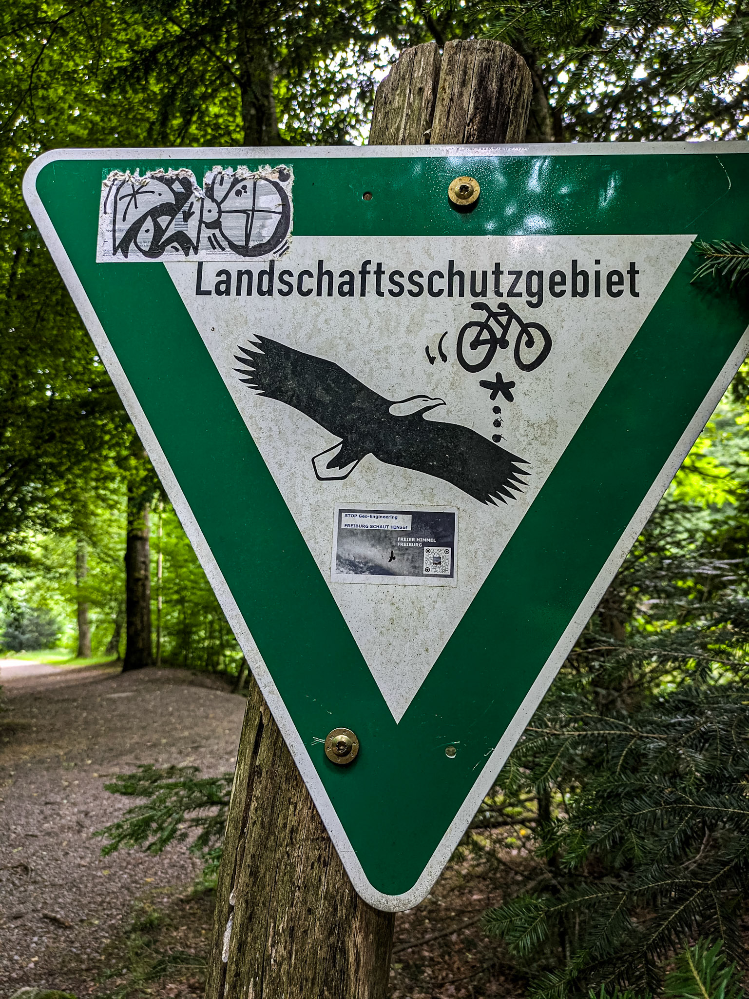 Near Busses Camping, Freiburg, Germany, 15 Jul 2025