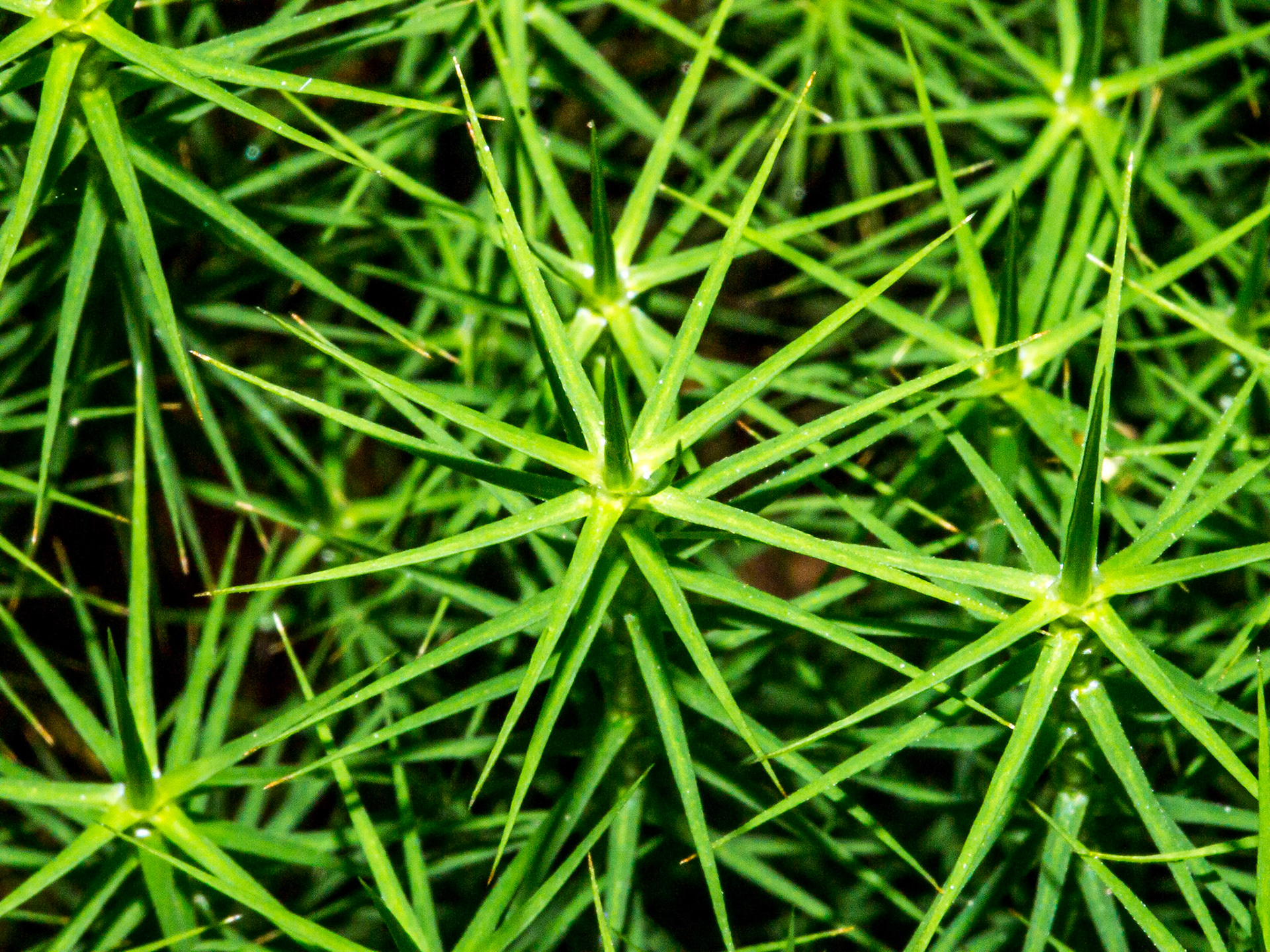 Glendalough, Co Wicklow, 11 Aug 2013