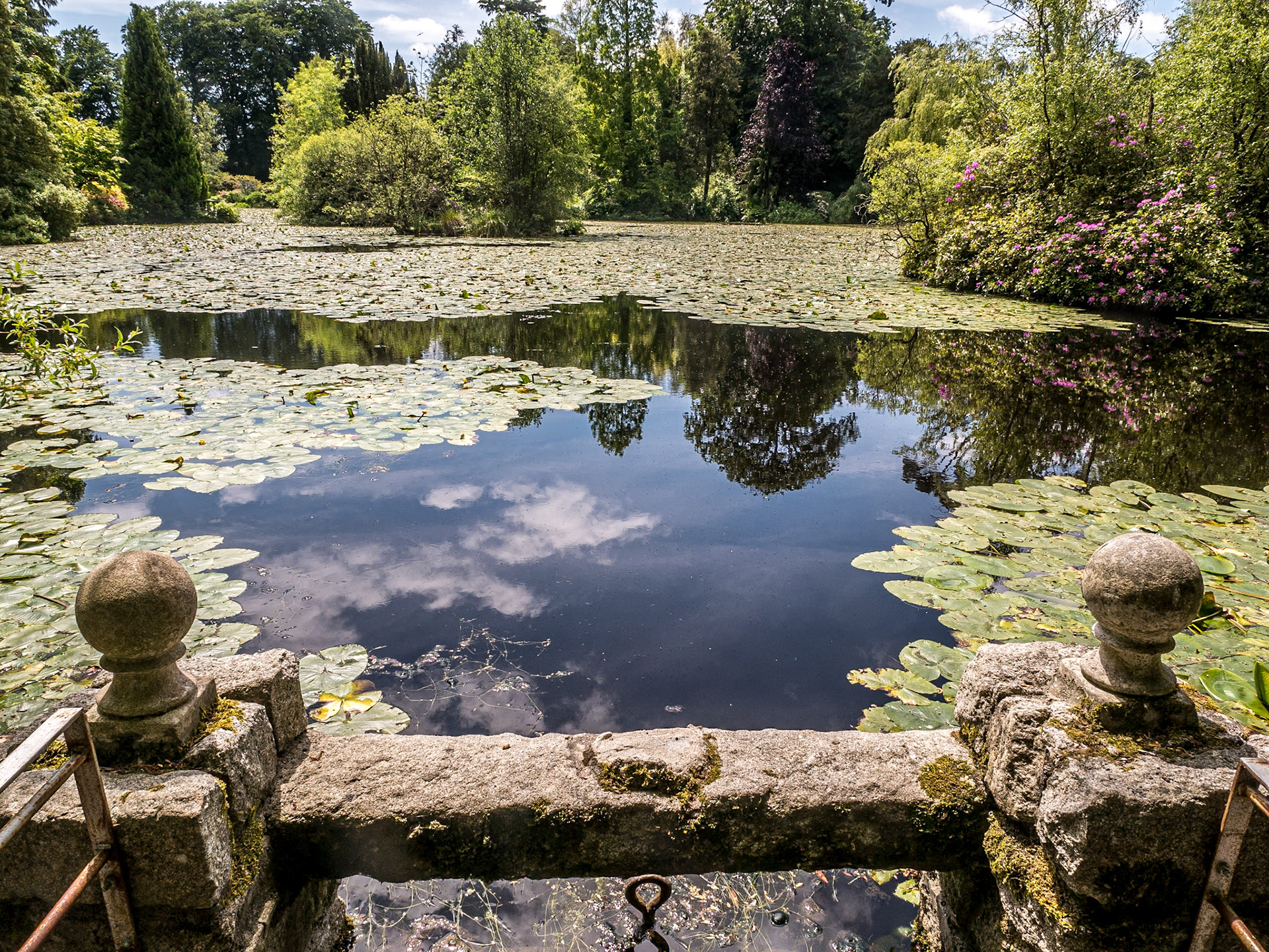 Altamont Gardens, Co Carlow, 18 Jun 2015