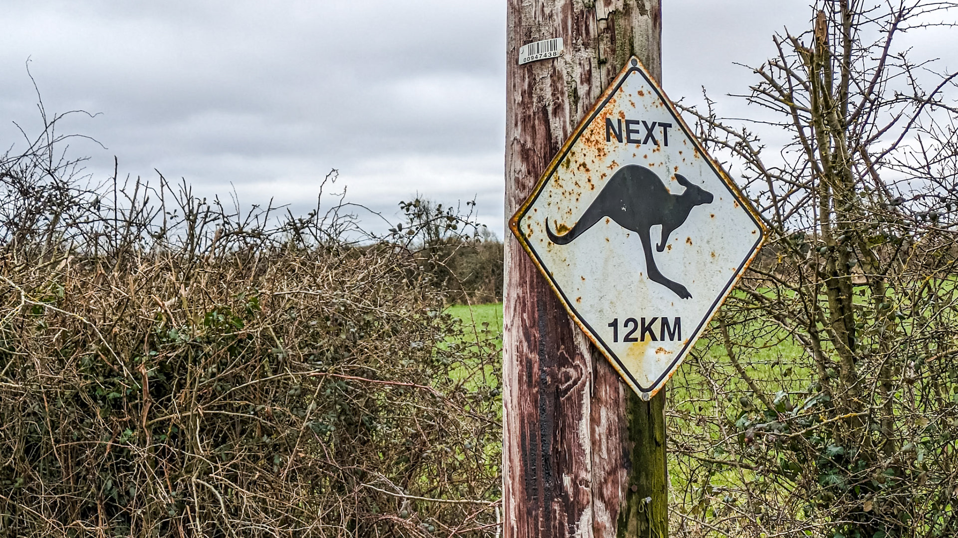 Along the Barrow Line near Lowtown, Co Kildare, 6 Mar 2024