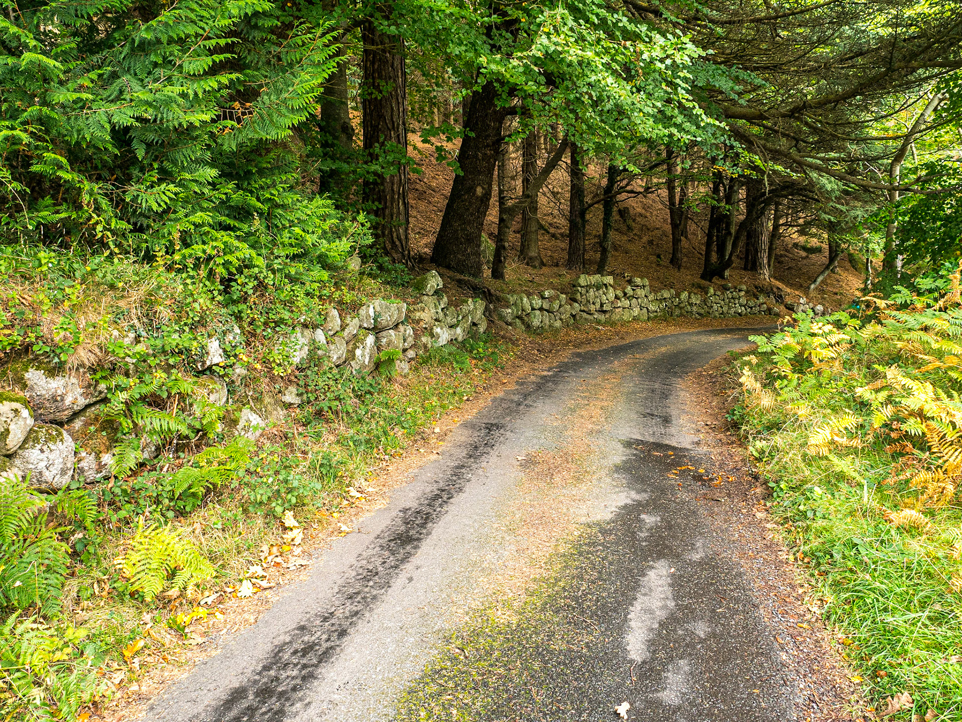 Knockree, Co Wicklow, 1 Oct 2017
