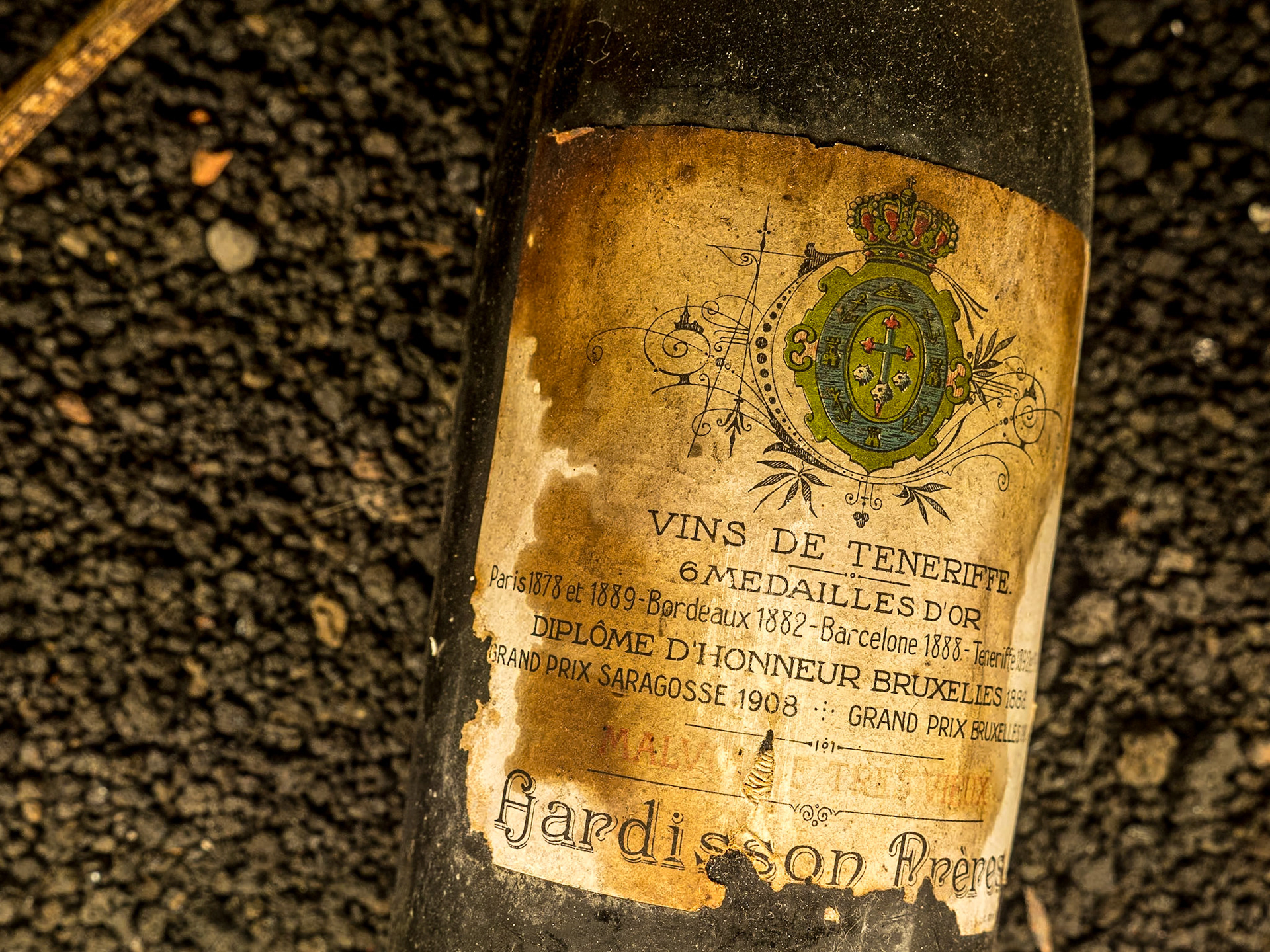 Casa del Vino, El Sauzal, Tenerife, 29 Jan 2022