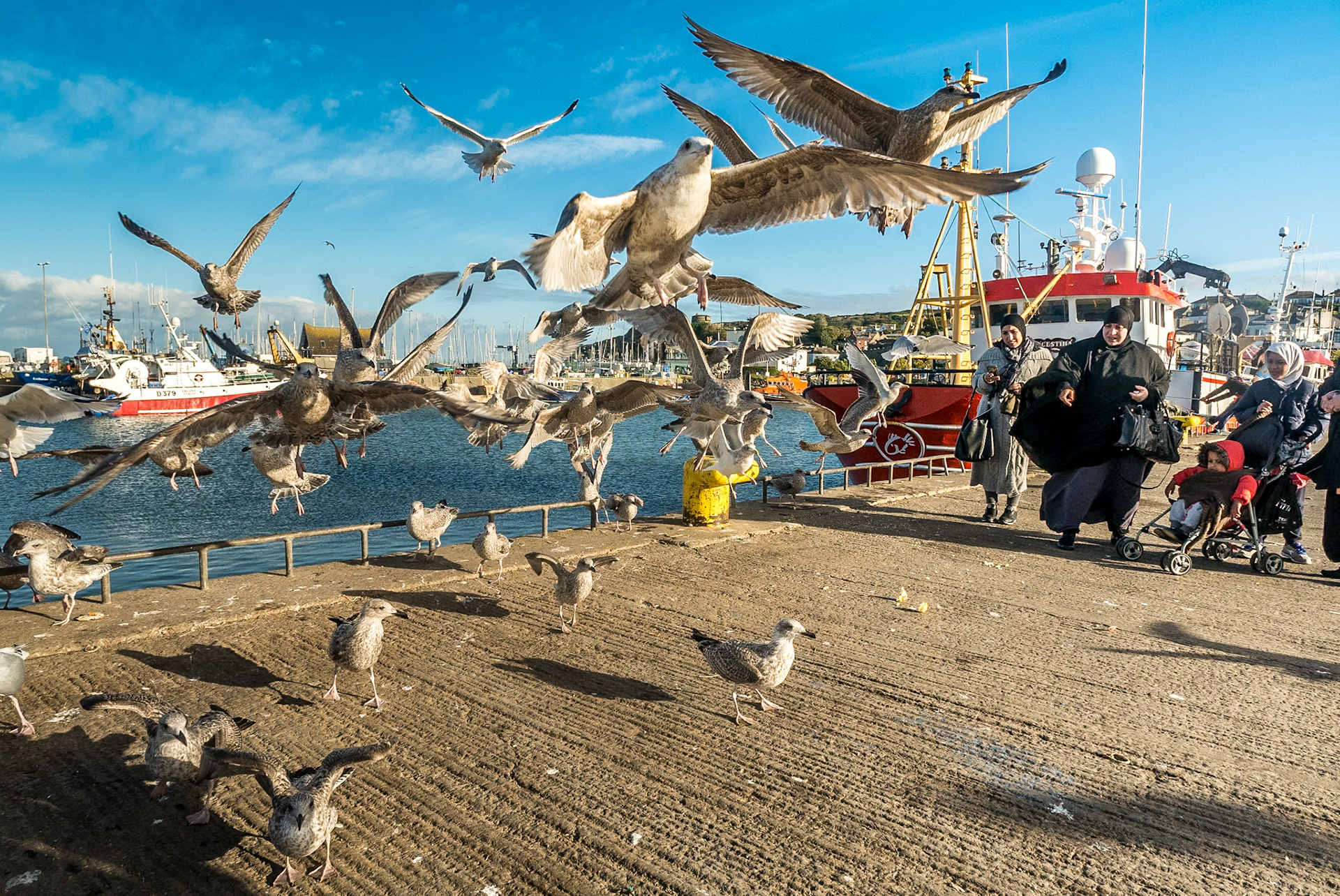 Howth pier, Dublin, 18 Oct 2016