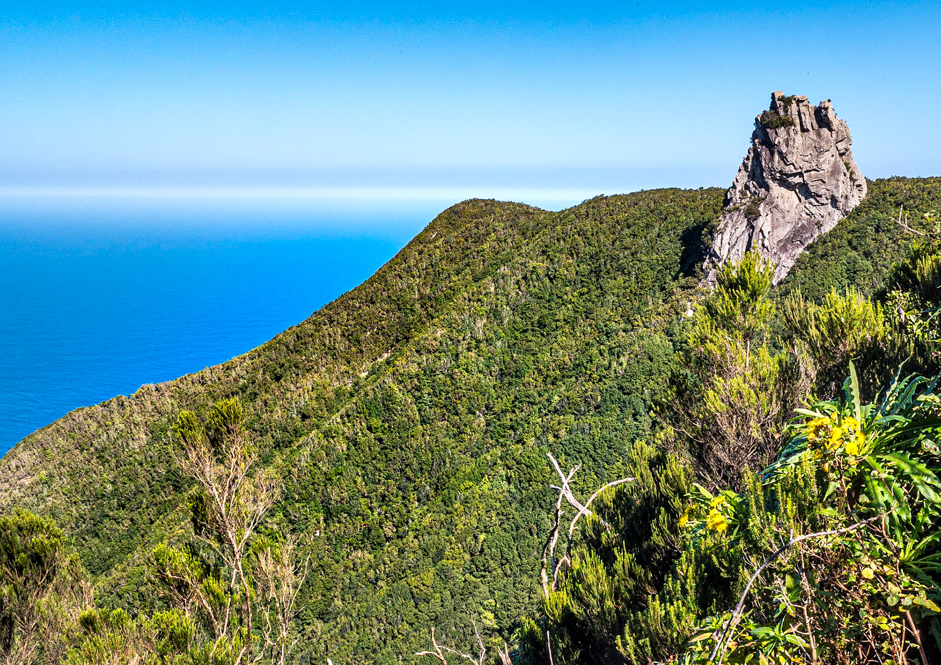 Roque Anambro, Anaga Mountains walk, Tenerife, 12 Feb 2019