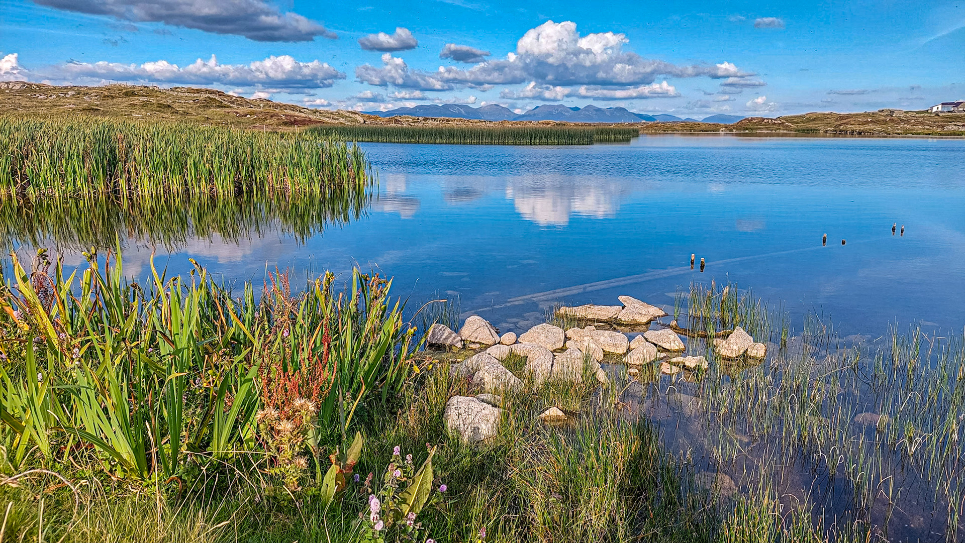 Near Ballyconneely, Co Galway, 30 Aug 2022