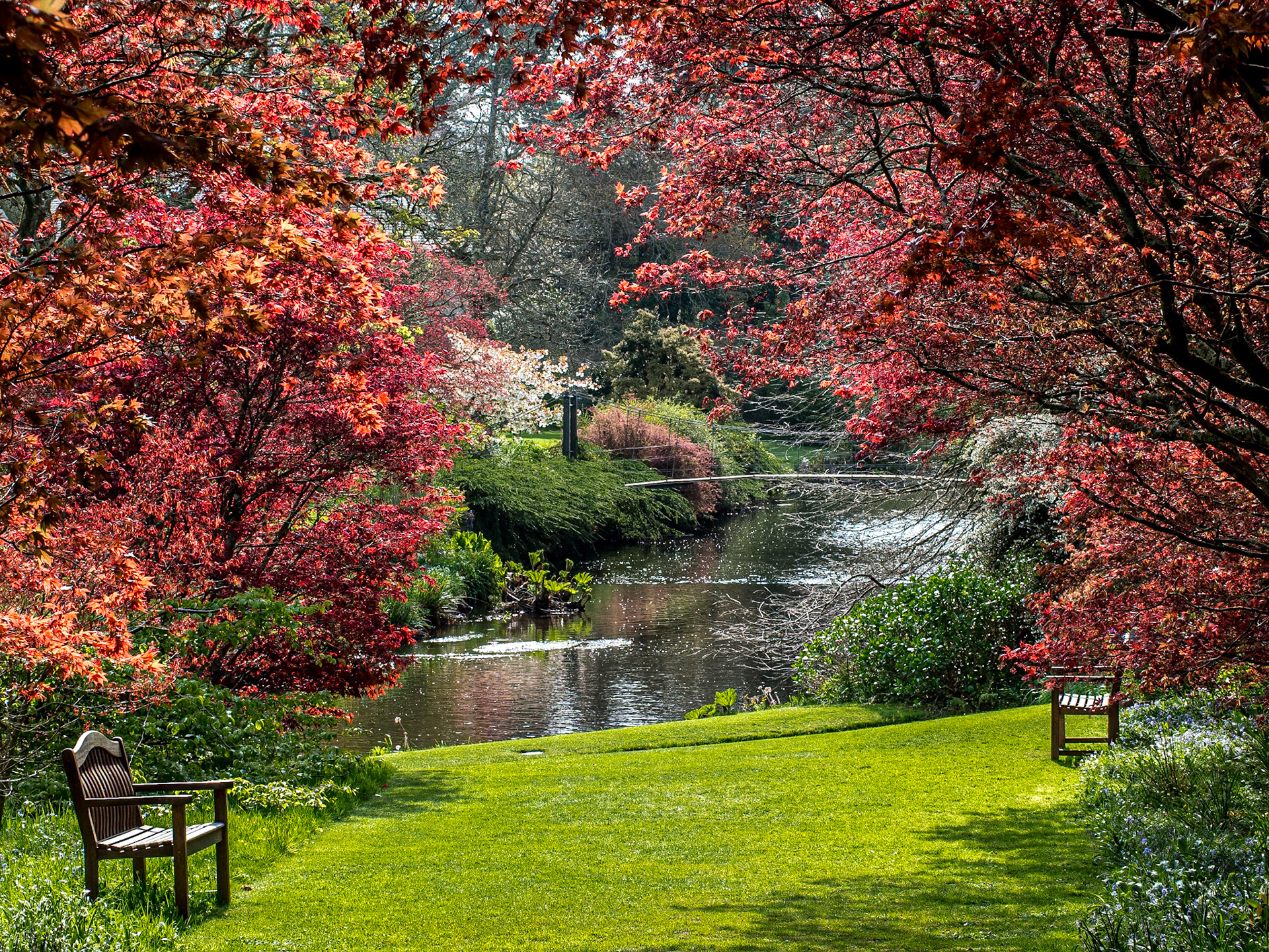 Mount Usher Gardens, Wicklow, 20 Apr 2014