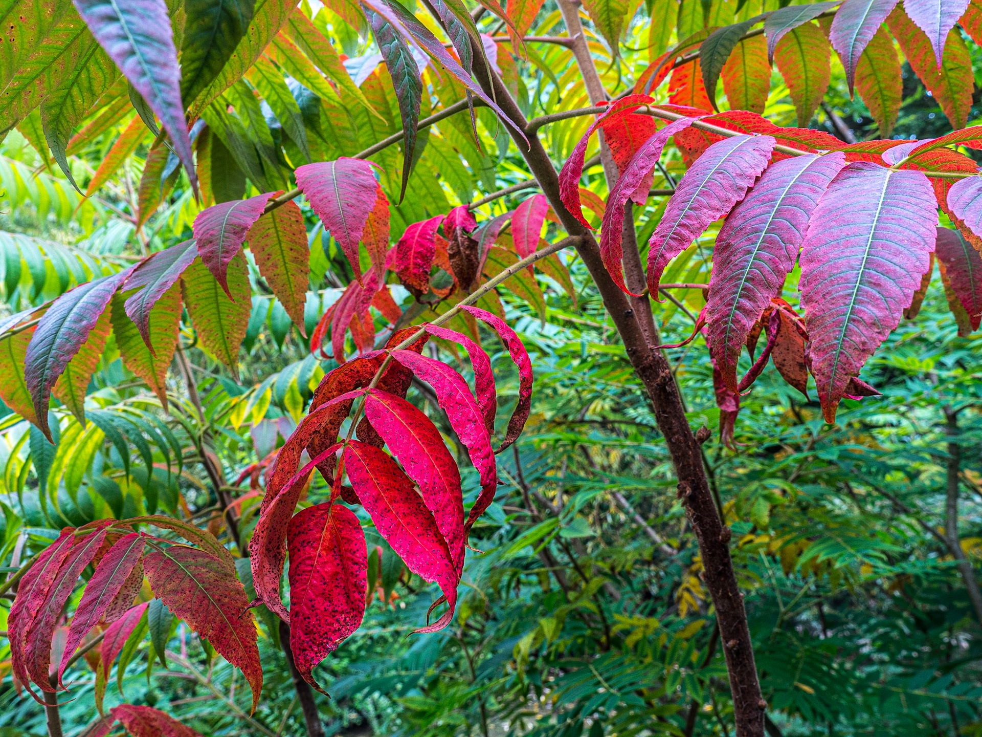Grounds of Château de Vendeuvre, Normandy, 13 Sep 2019