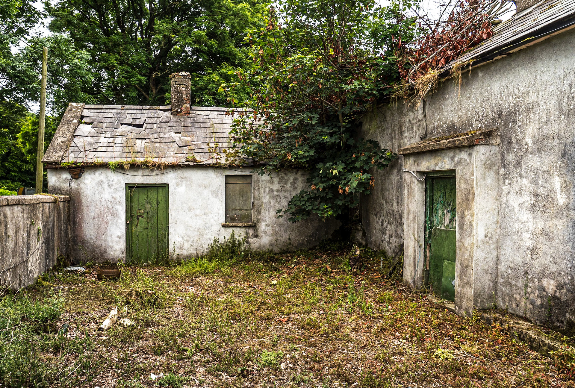 Near Ballymachugh, Co Cavan, 8 Jul 2021