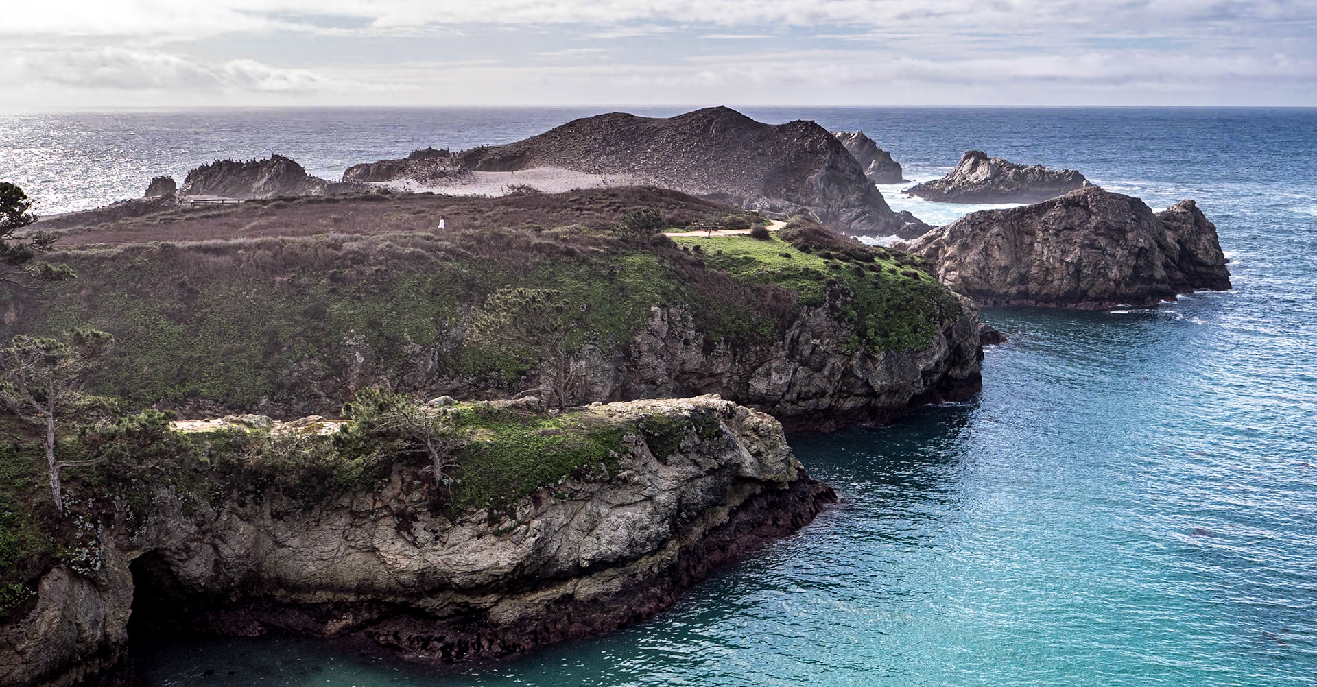 Point Lobos State Natural Reserve, California, 22 Jan 2024