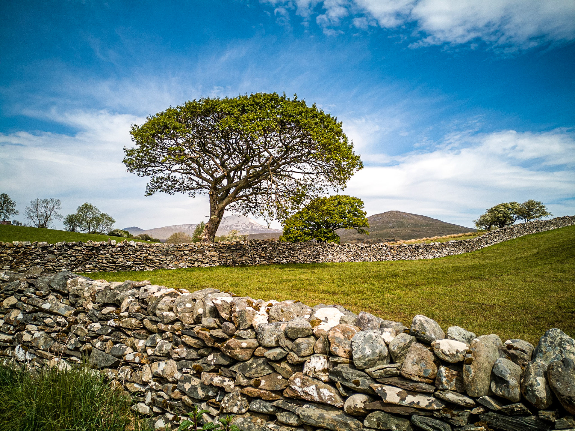 Near Drummin, Co Mayo, 15 May 2019