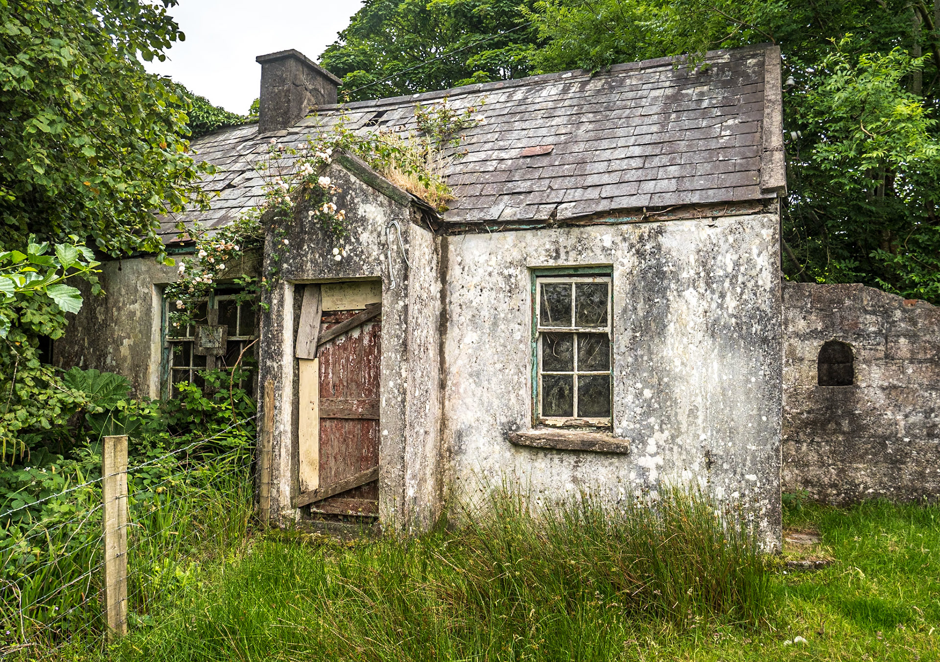 North of Waterville, Co Kerry, 14 Jul 2021