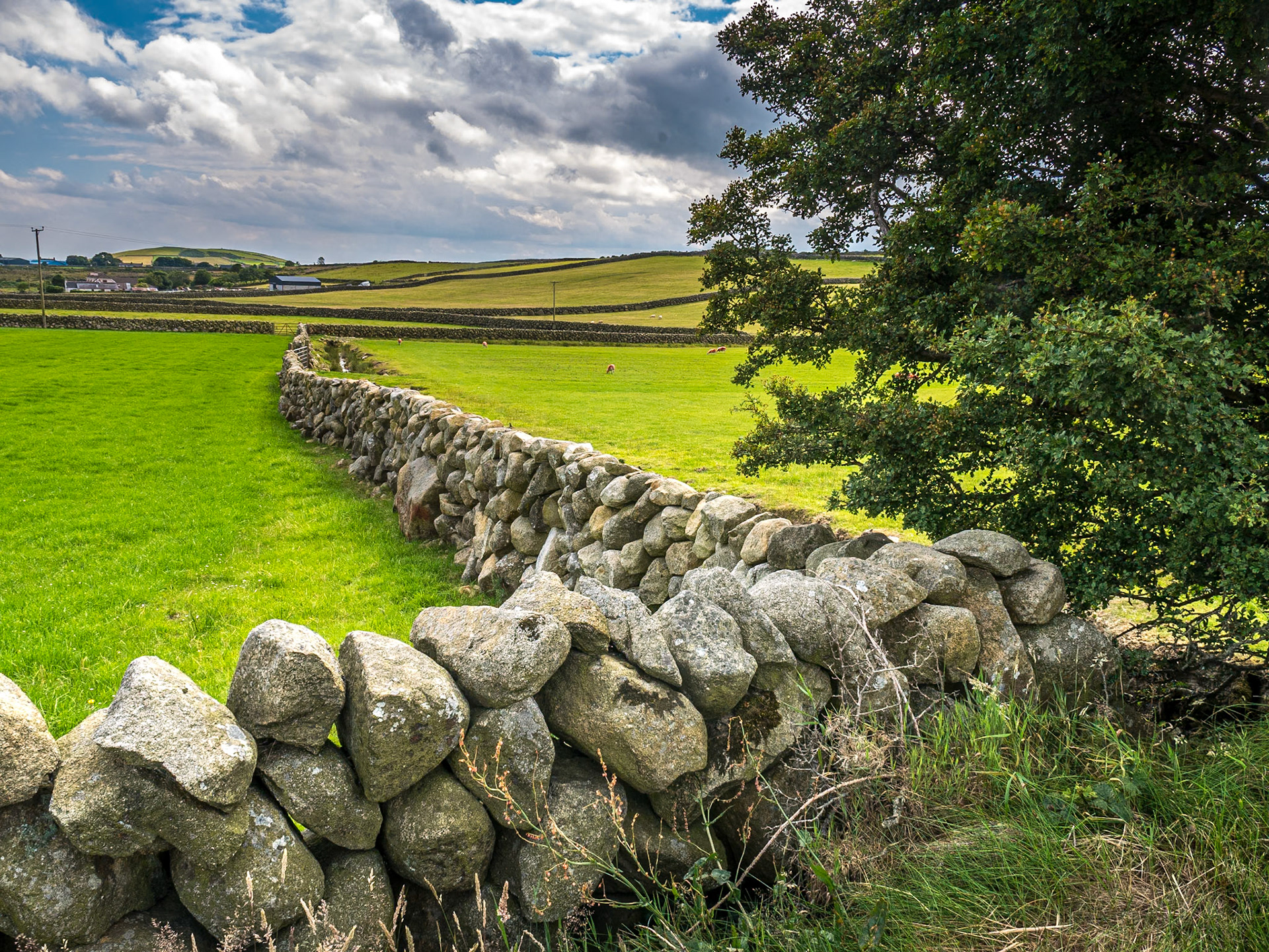 Near Silent Valley, Co Down, 13 Jul 2016