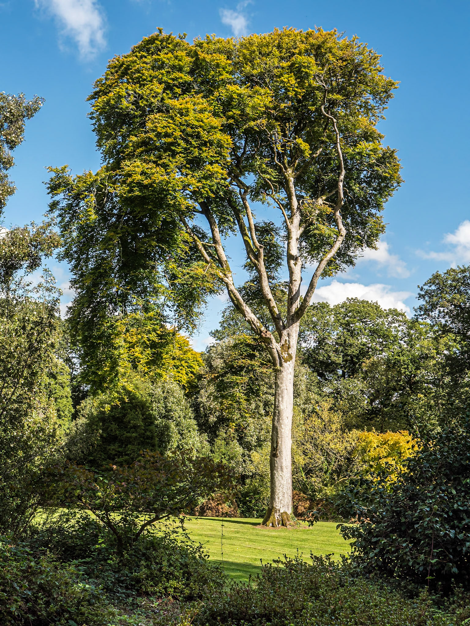 Mount Congreve Gardens, Co Waterford, 2 Sep 2023