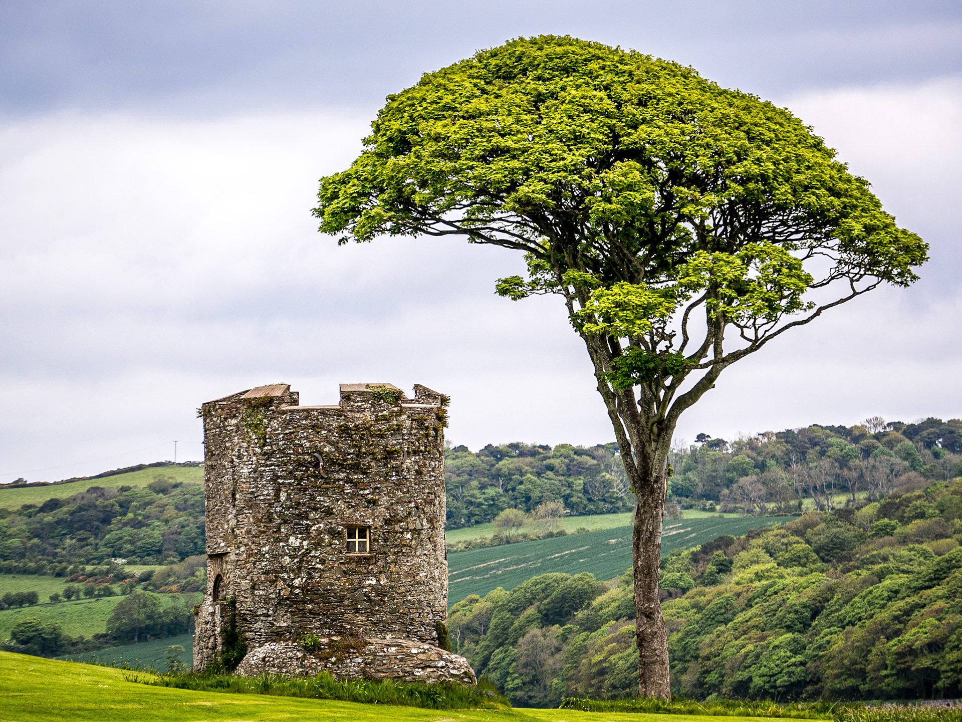 Strangford, Co Down, 26 May 2015