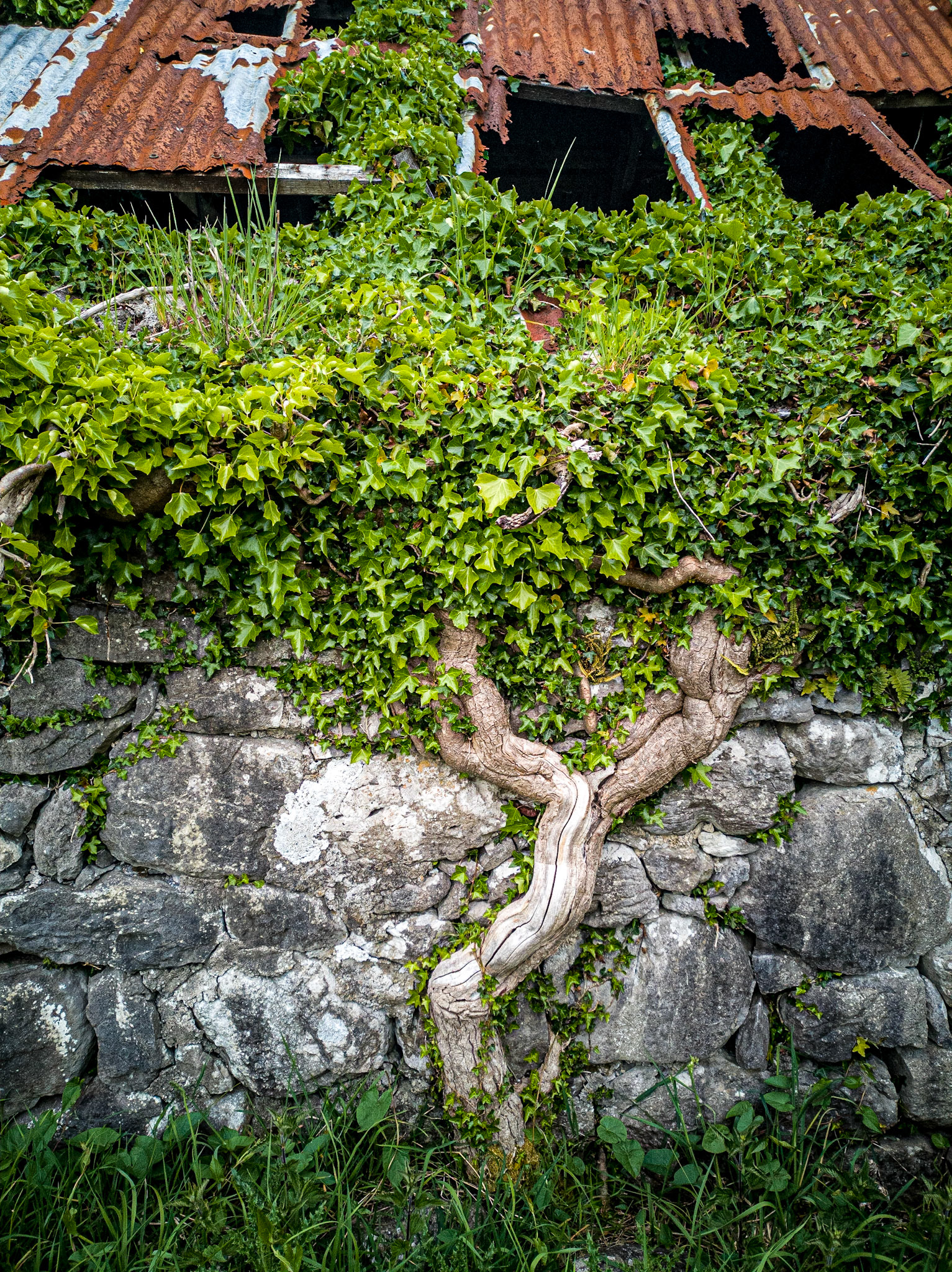 Annaghdown, Co Galway, 18 May 2019