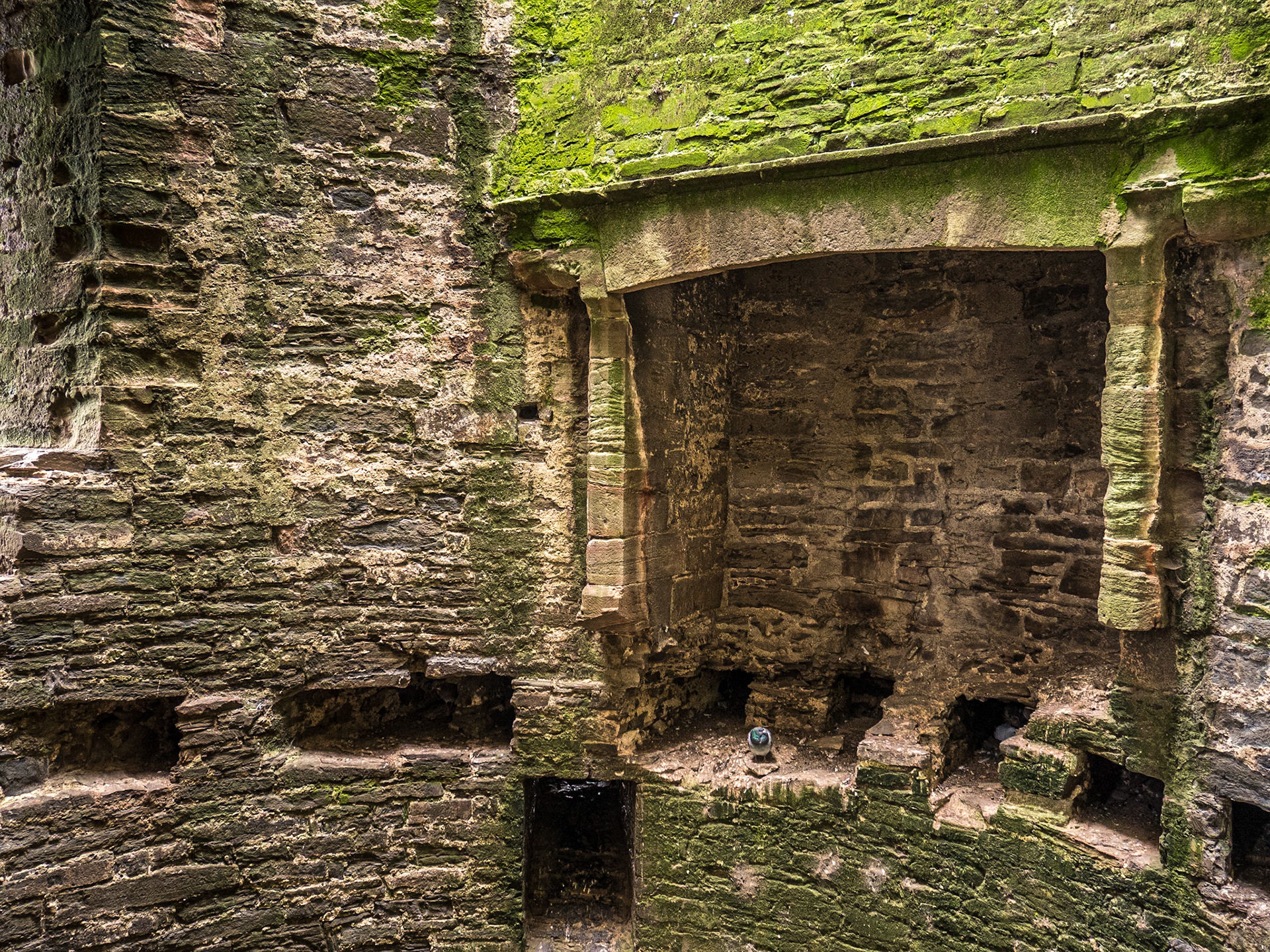 Conwy Castle, Wales, 12 Oct 2022
