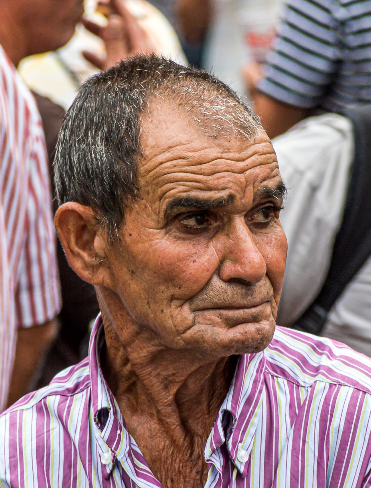 Festival of San Roque, Garachico, Tenerife, 16 Aug 2013