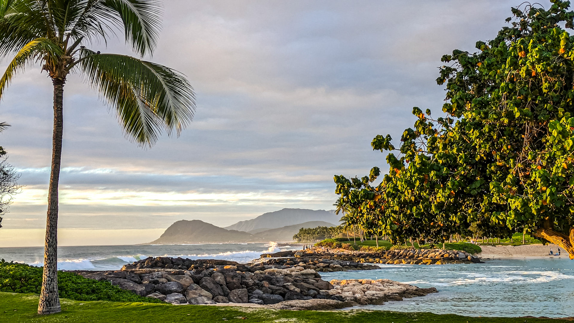 Nai'a Lagoon, Oahu, Hawaii, 31 Jan 2024
