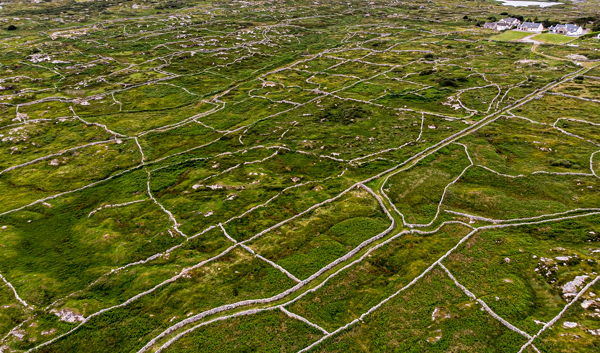 Carraroe, Co Galway, 13 Jun 2022