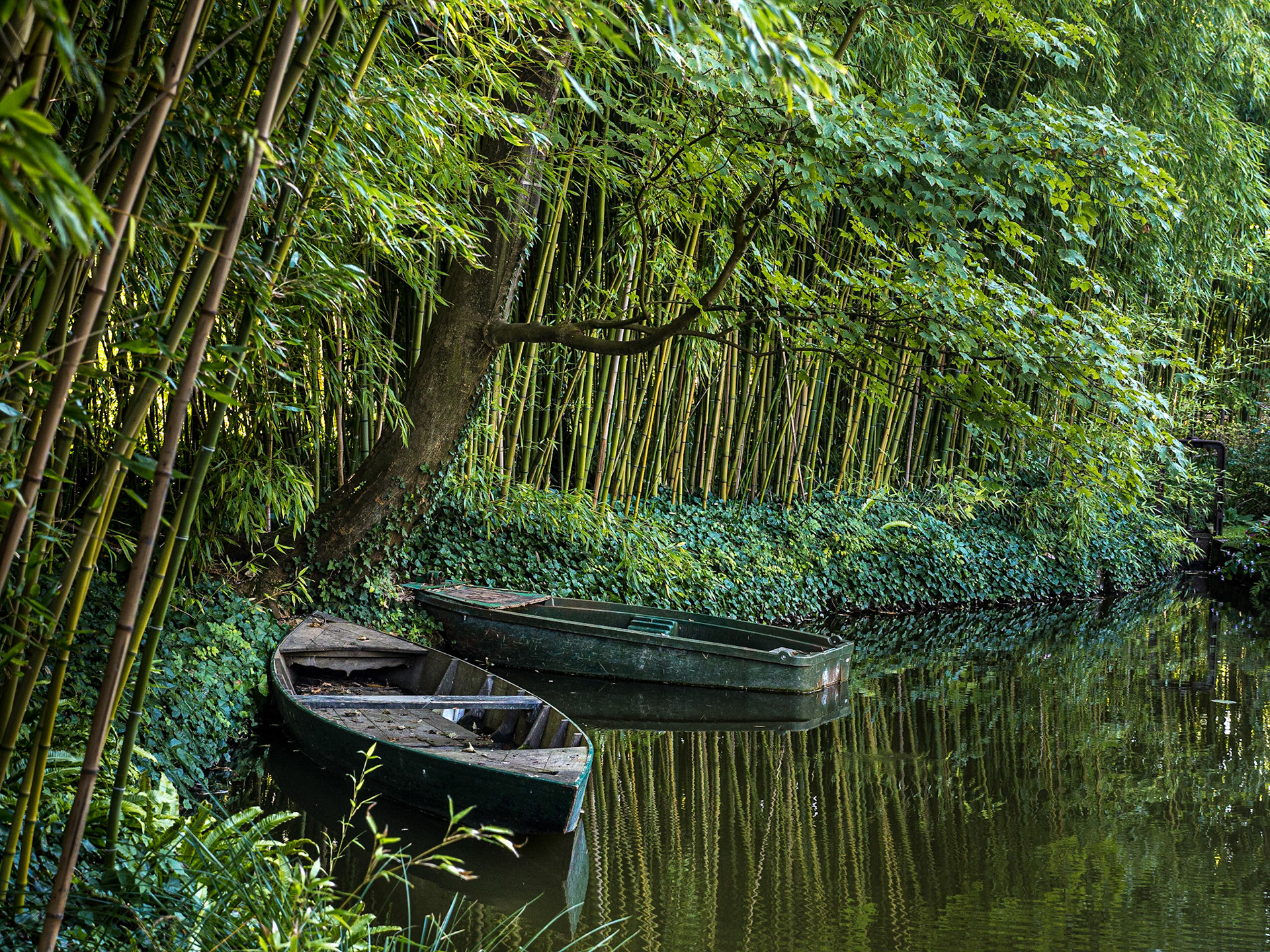 Claude Monet's garden, Giverny, 23 Sep 2021