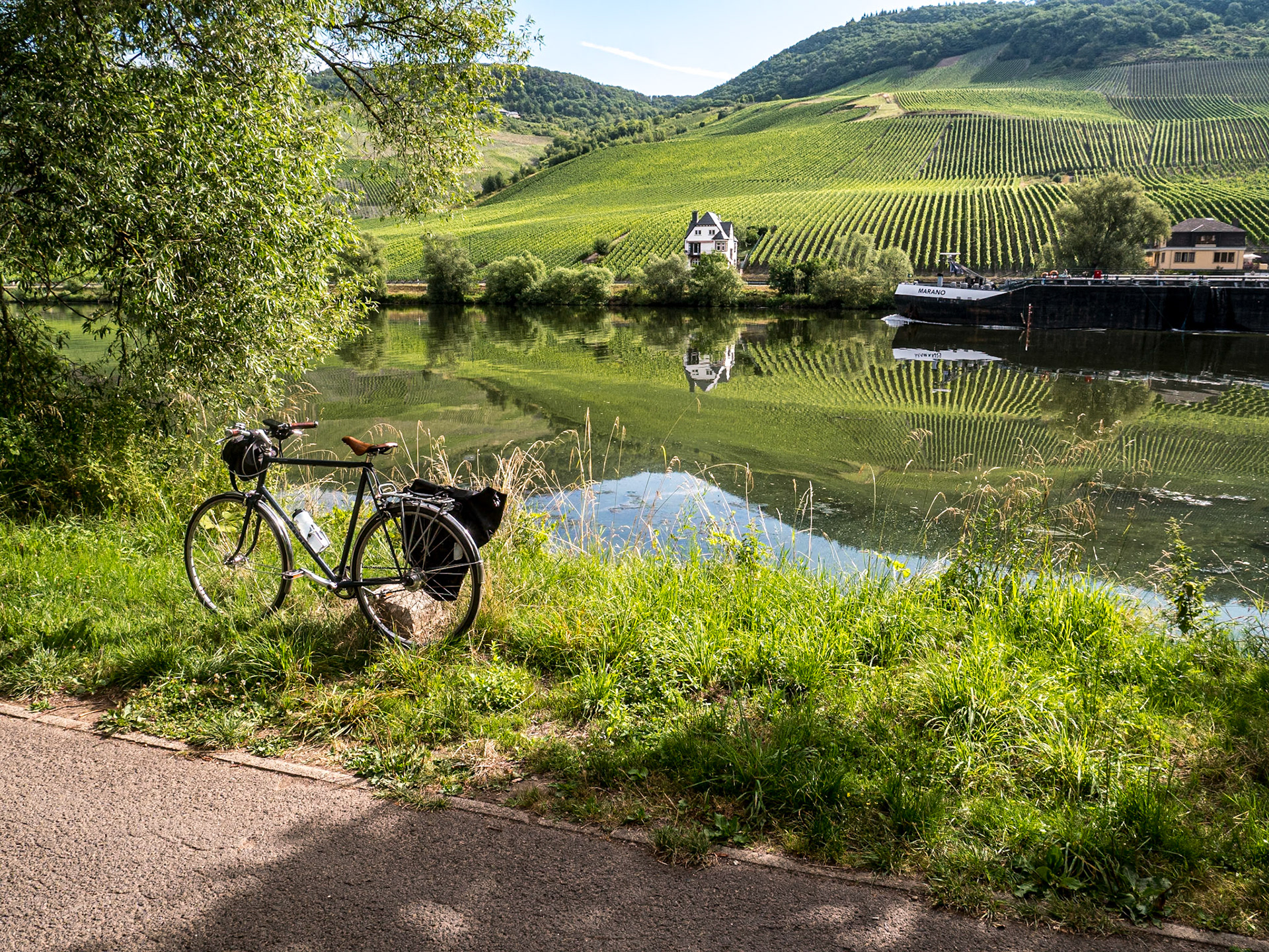 Along the Moselle near Bernkastel, Germany, 20 Jul 2025