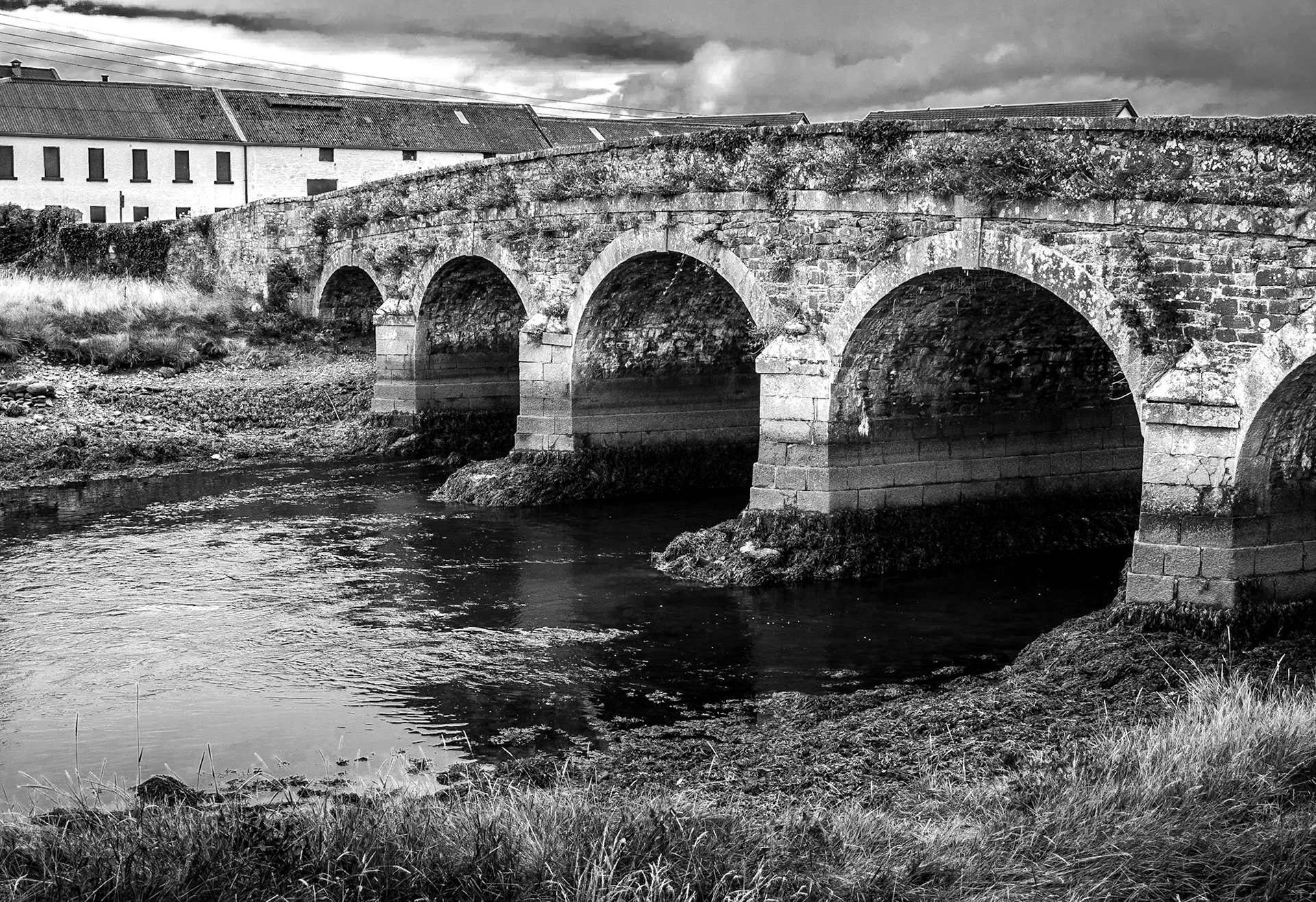 Annagassan, Co Louth, 3 Aug 2017