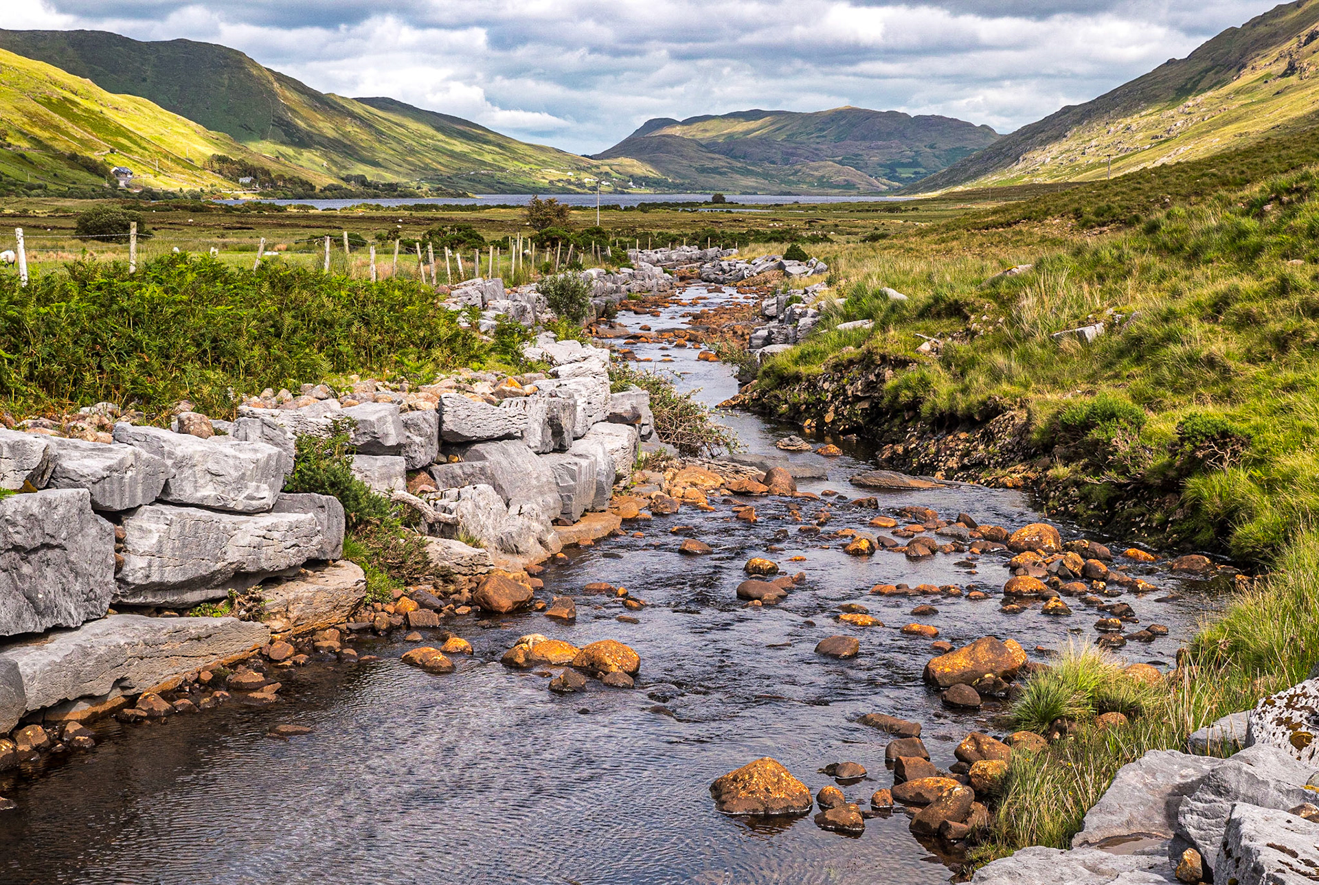 Near Lough Na Fooey, Co Galway, 28 Jul 2020