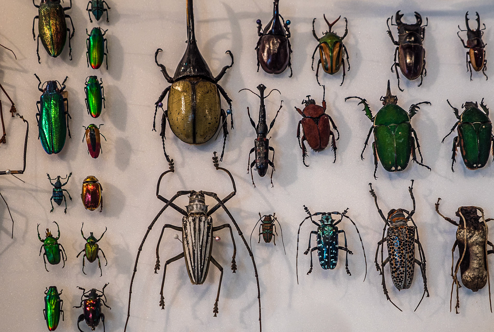 Ulster Museum, Belfast, 16 Jun 2021