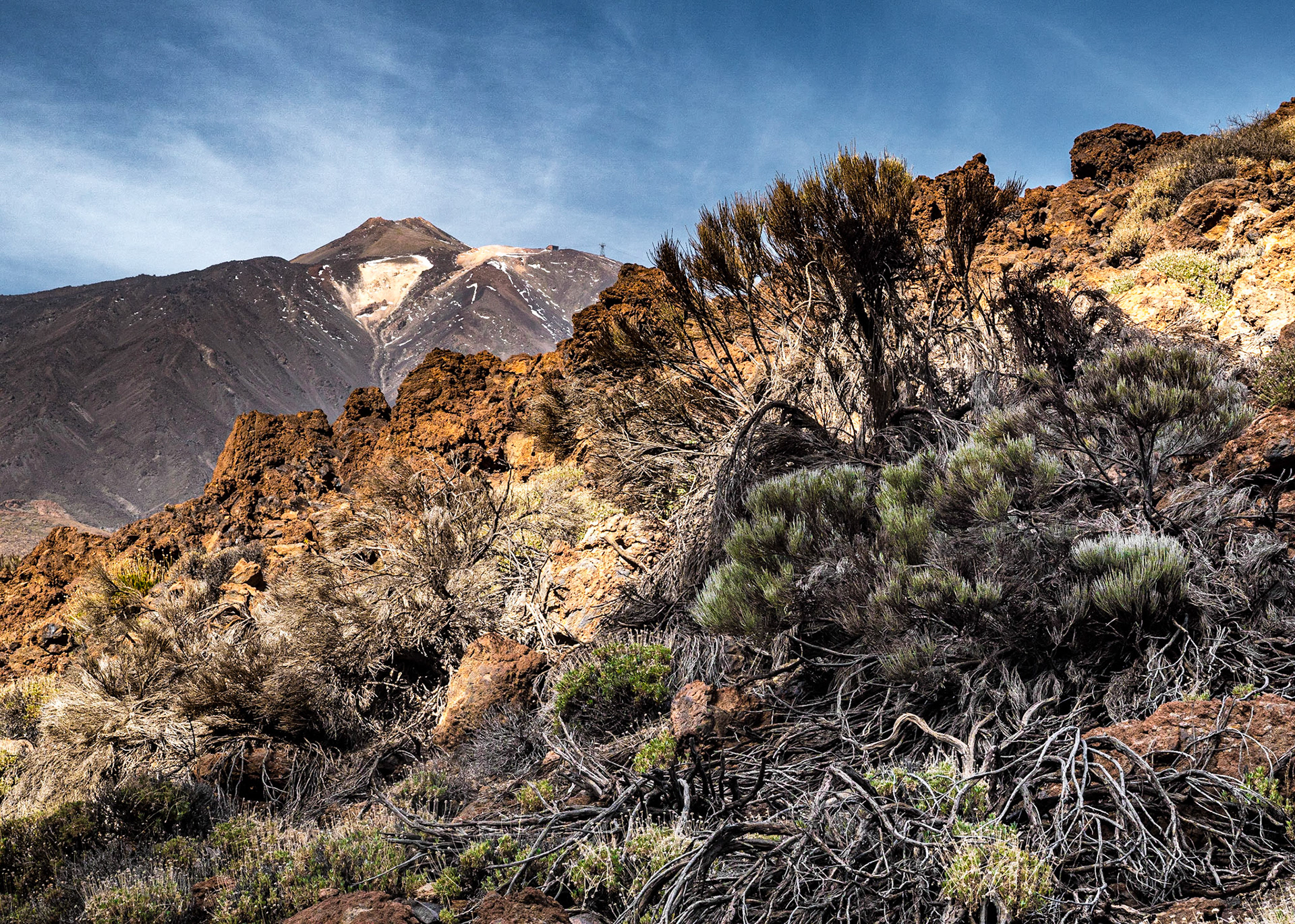 Roques de Garcia walk, Tenerife, 7 Feb 2022