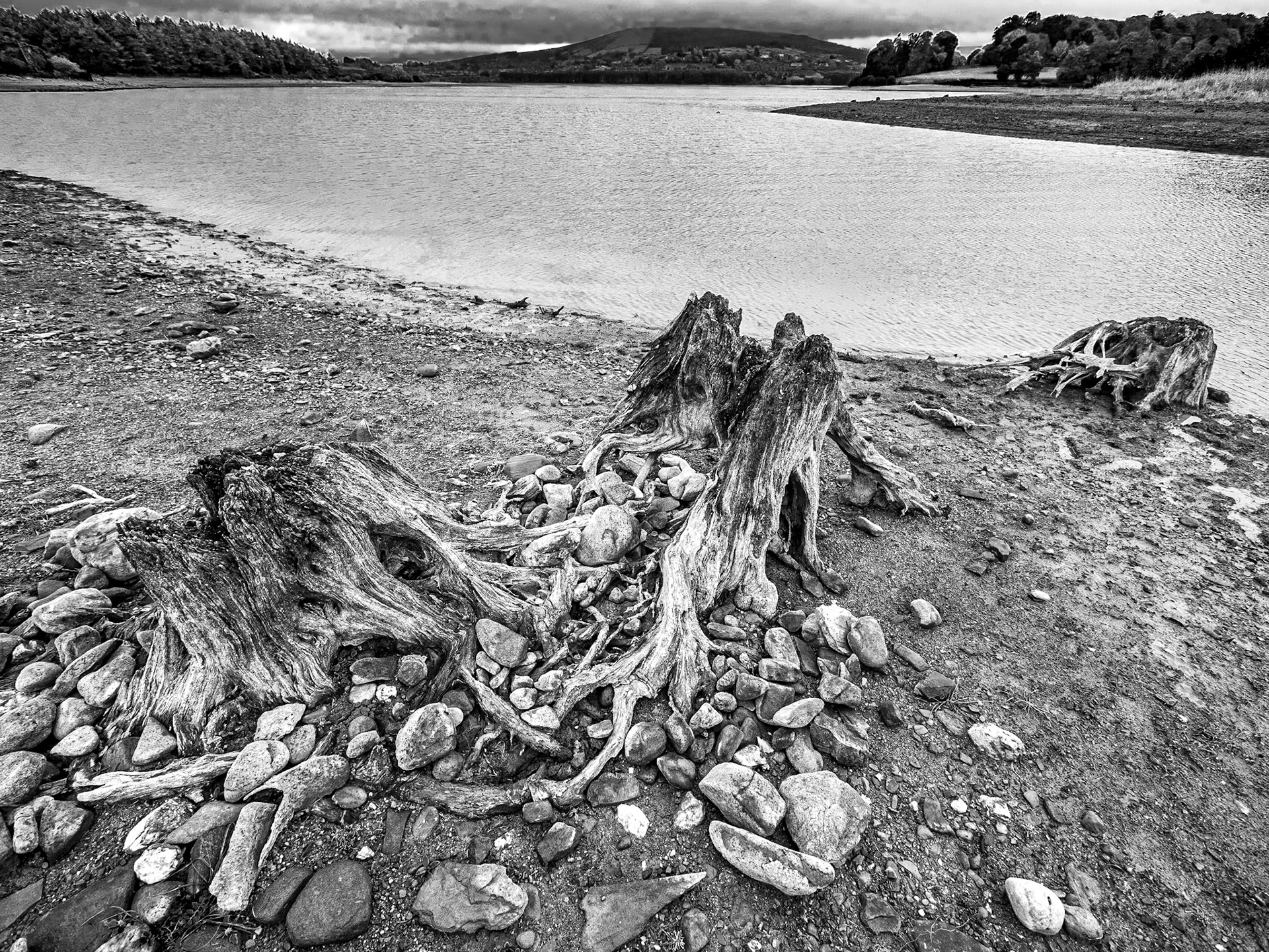 Avon Rí walk, Blessington Lakes, Co Wicklow, 16 Oct 2018
