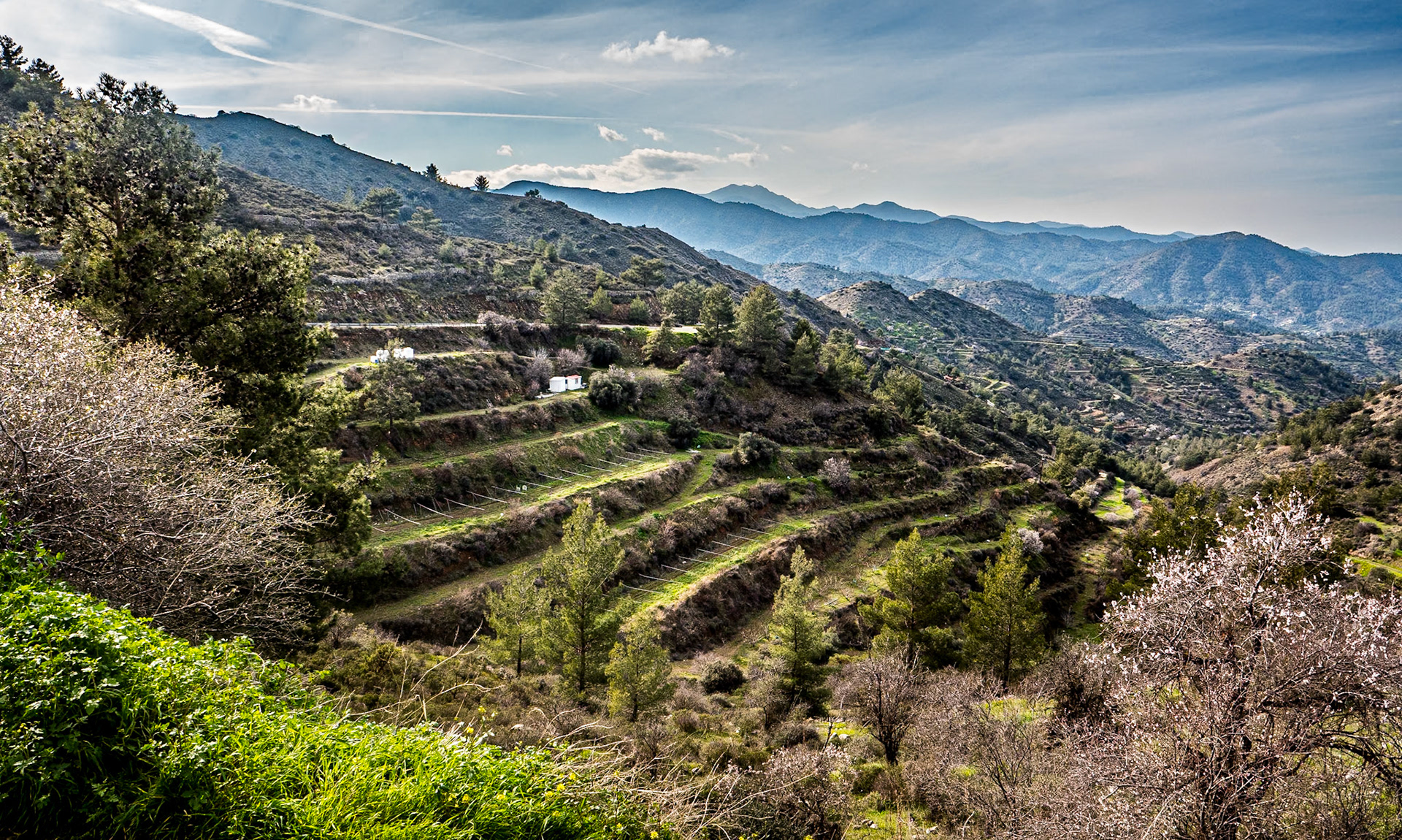 Fikardou, Cyprus, 14 Feb 2025