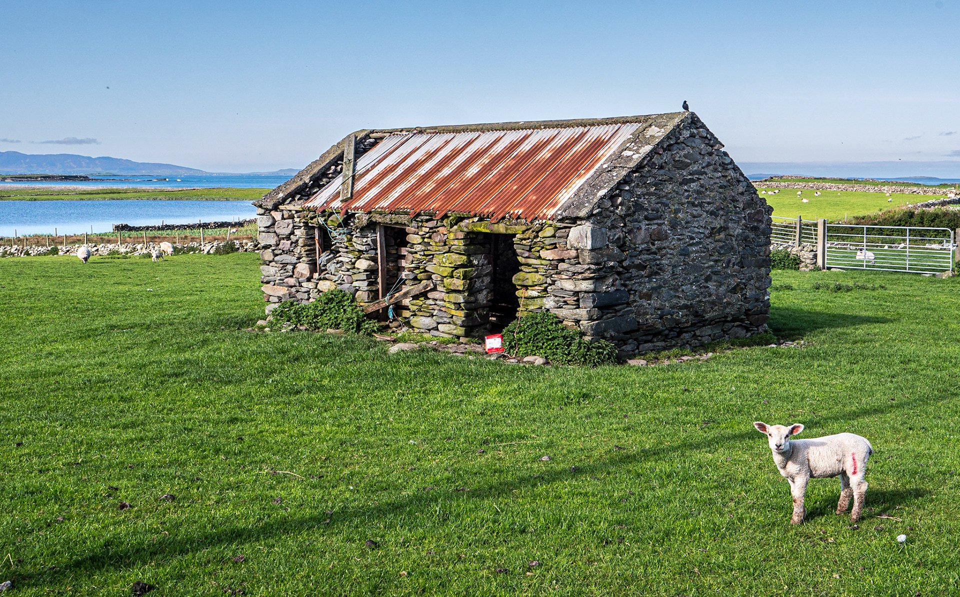 Cross, Co Mayo, 12 May 2023