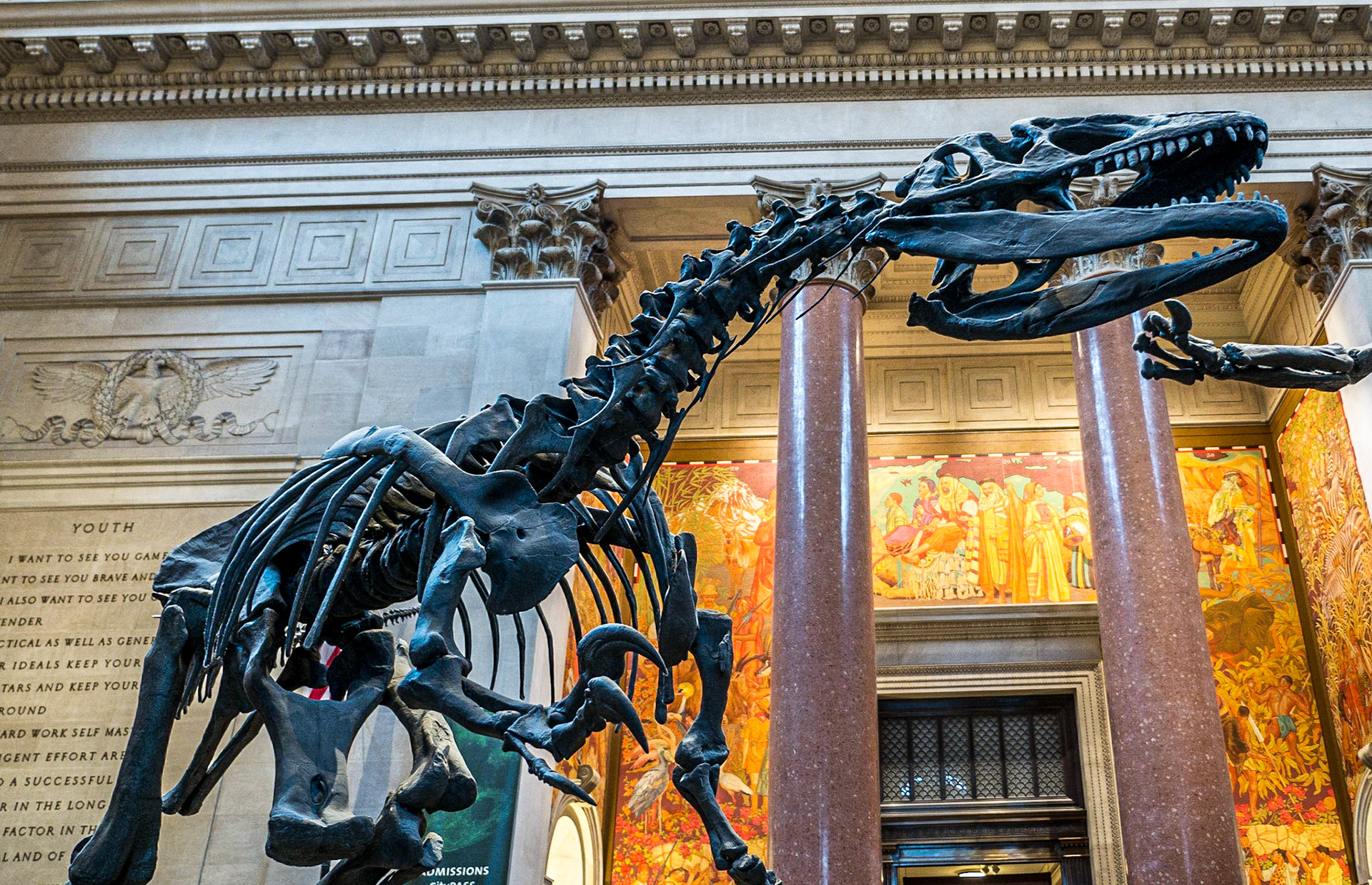 Dinosaur, Museum of Natural History, Manhattan, 19 Nov 2015