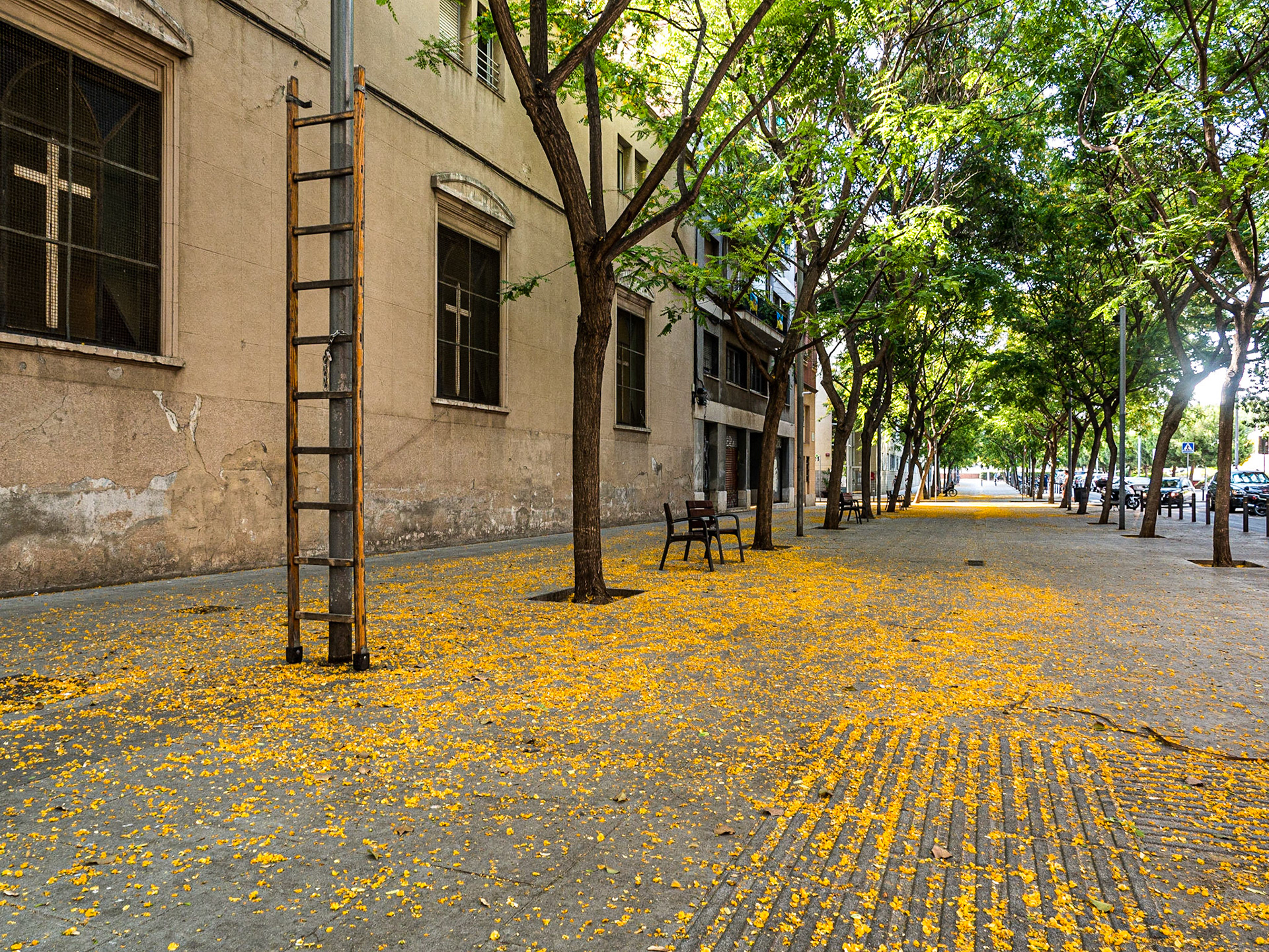 Carrer de Ginebra, Barcelona, 28 Jun 2016