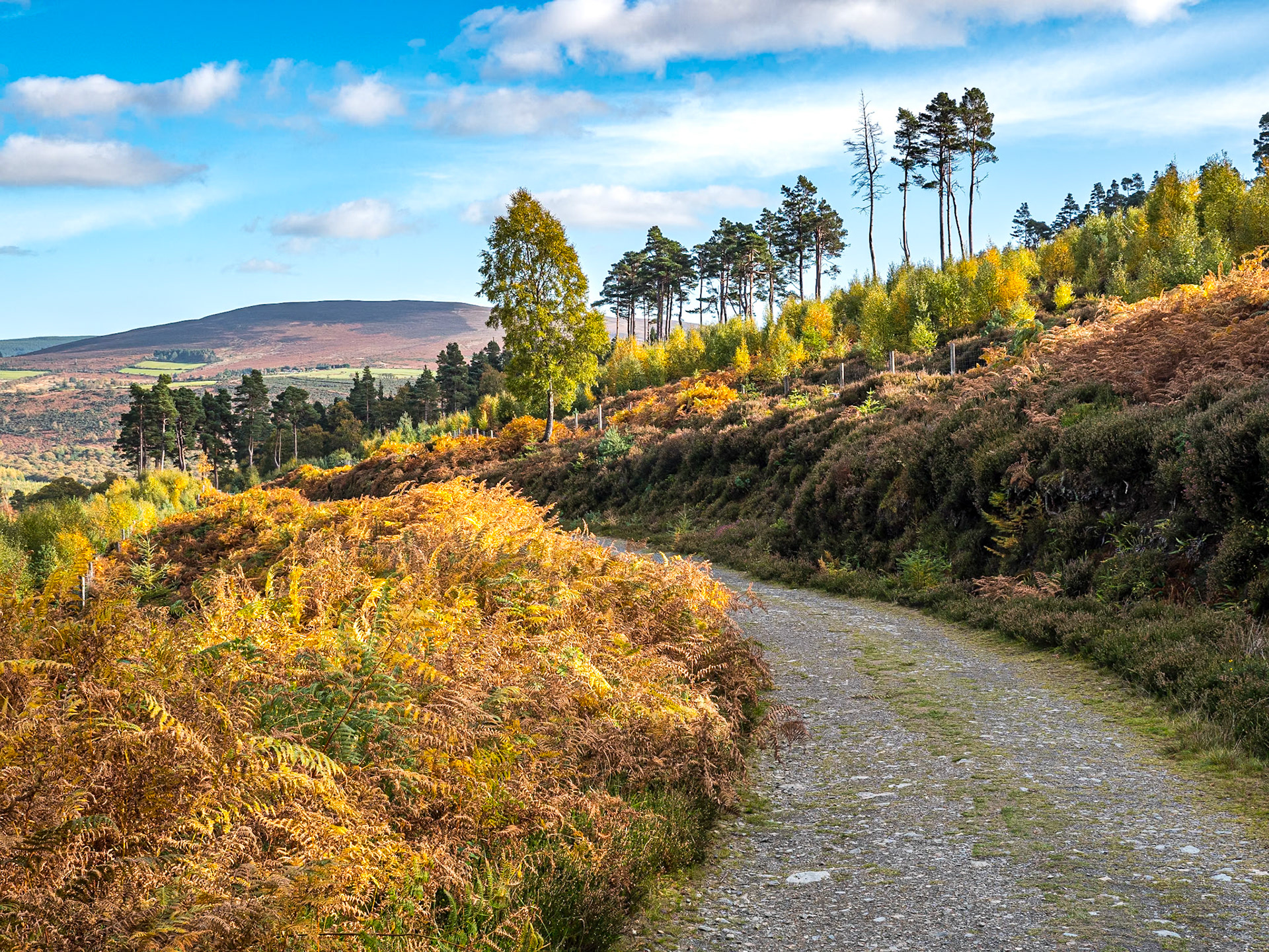 Glendalough Walk (Orange Route), Co Wicklow, 22 Oct 2018