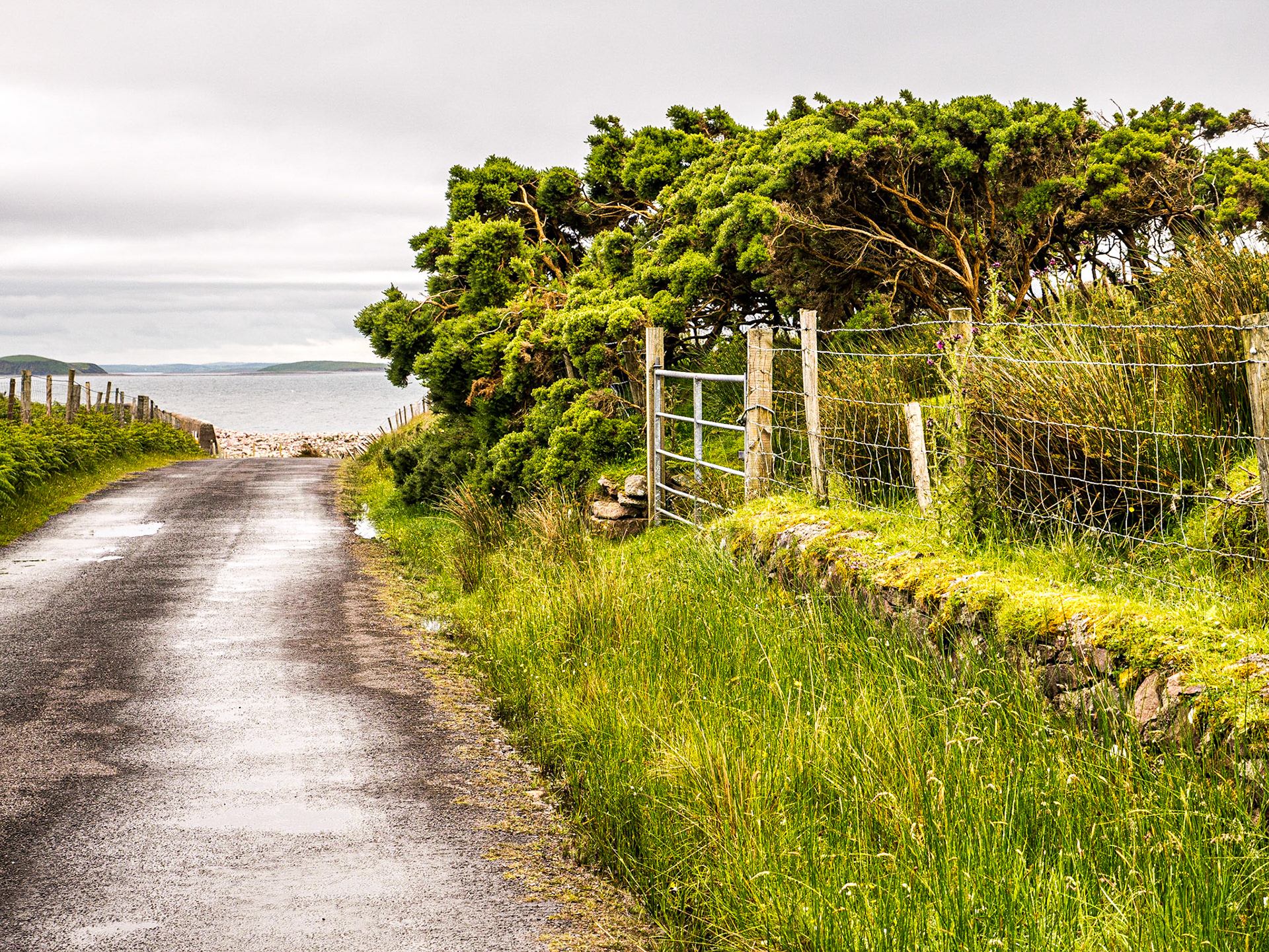 Causeway Loop Walk, Mulranny, Co Mayo, 18 Jun 2017