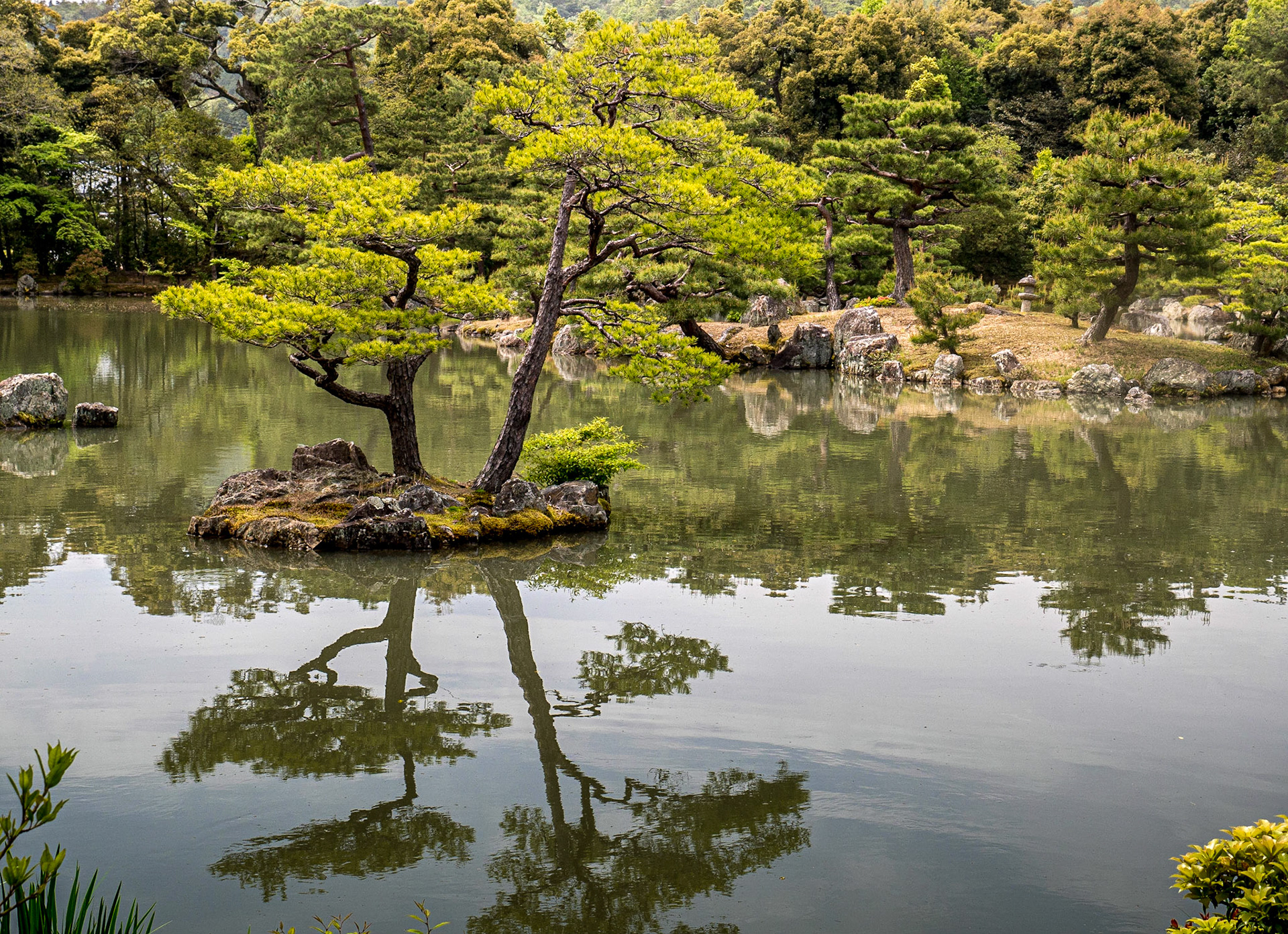 At Kinkaku-ji, Kyoto, 24 Apr 2016