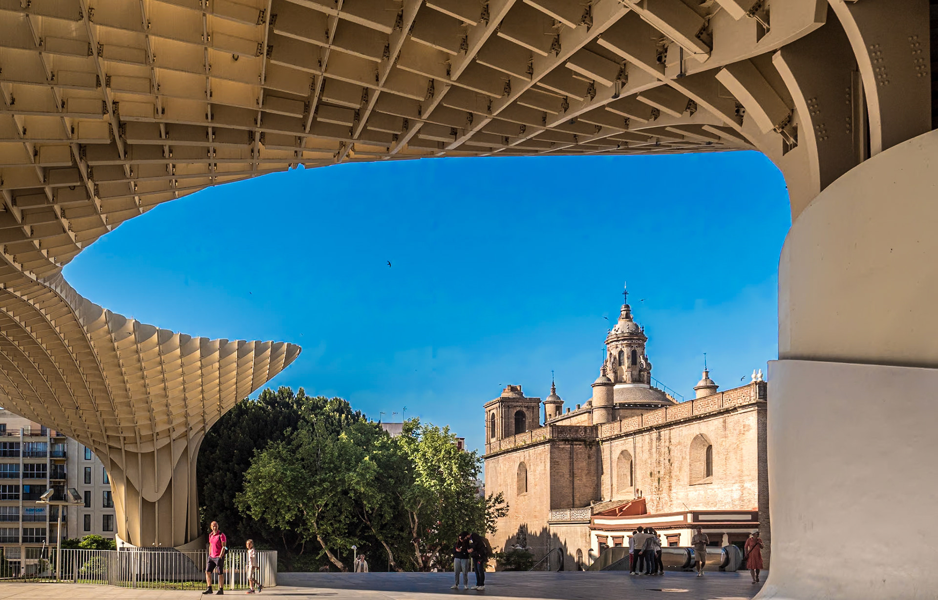 Setas de Sevilla, 25 Apr 2022