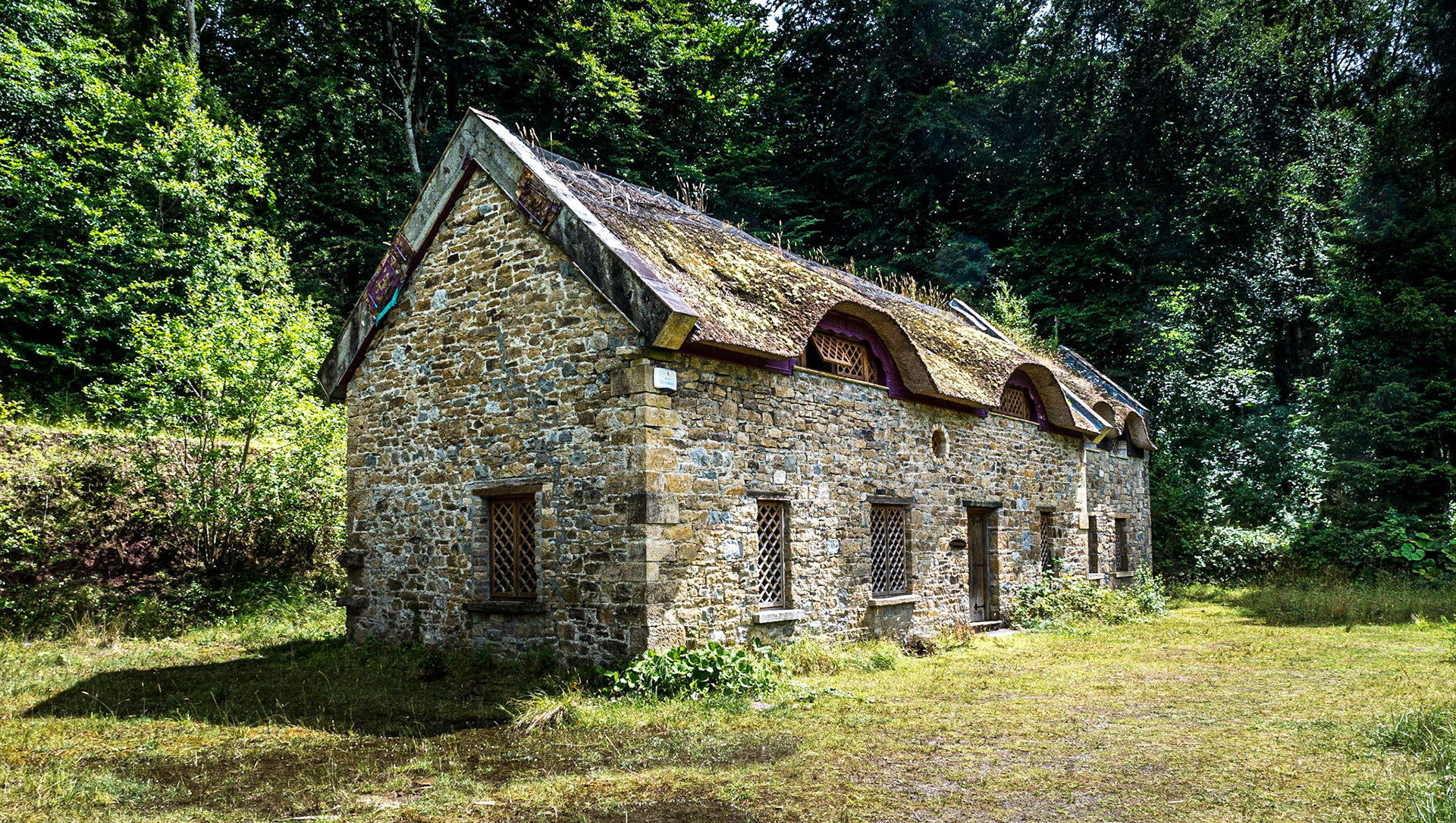 Grounds of Kinnitty Castle, Co Offaly, 21 Jul 2017