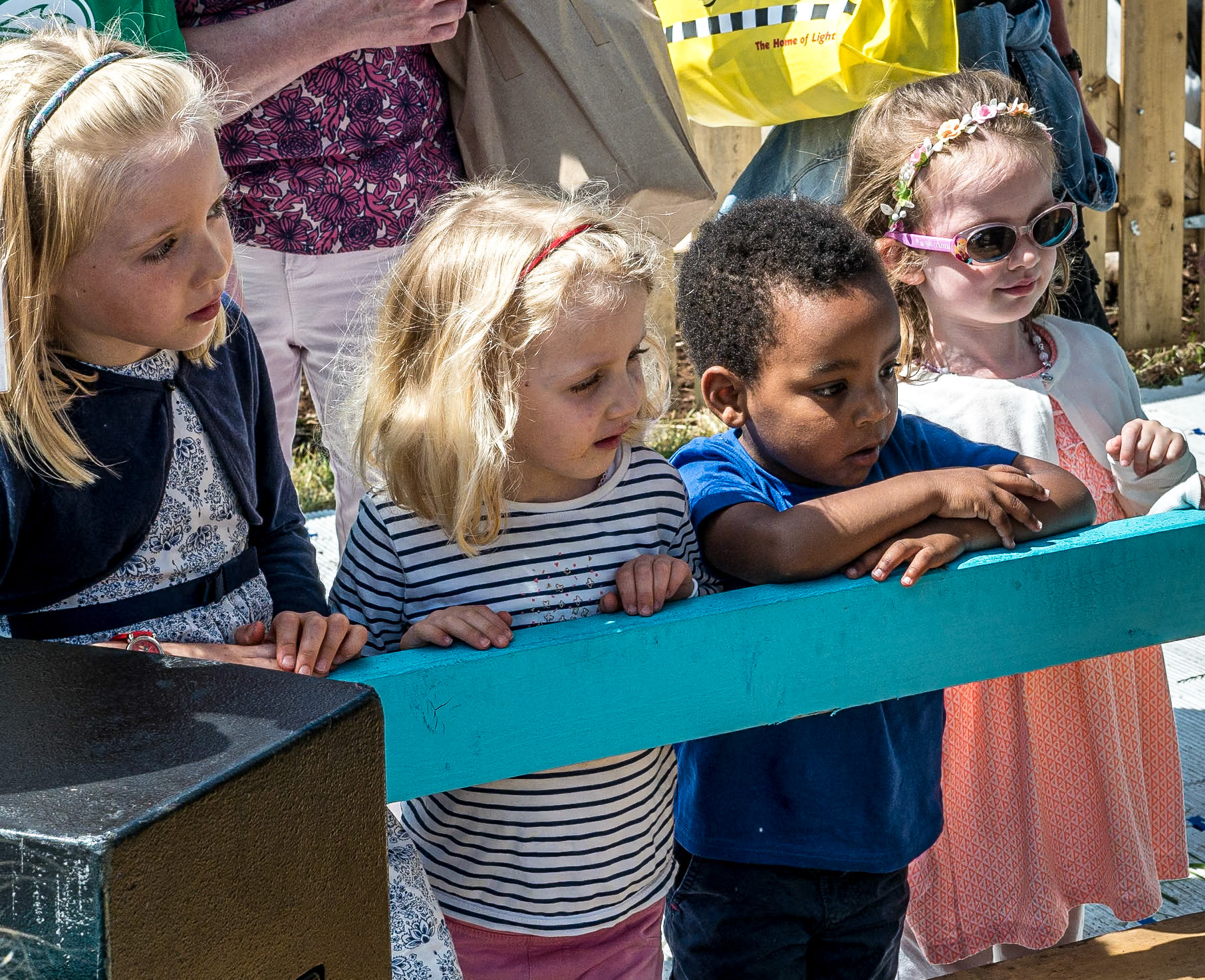 Sheep shearing, Bloom in the Park garden festival, Dublin