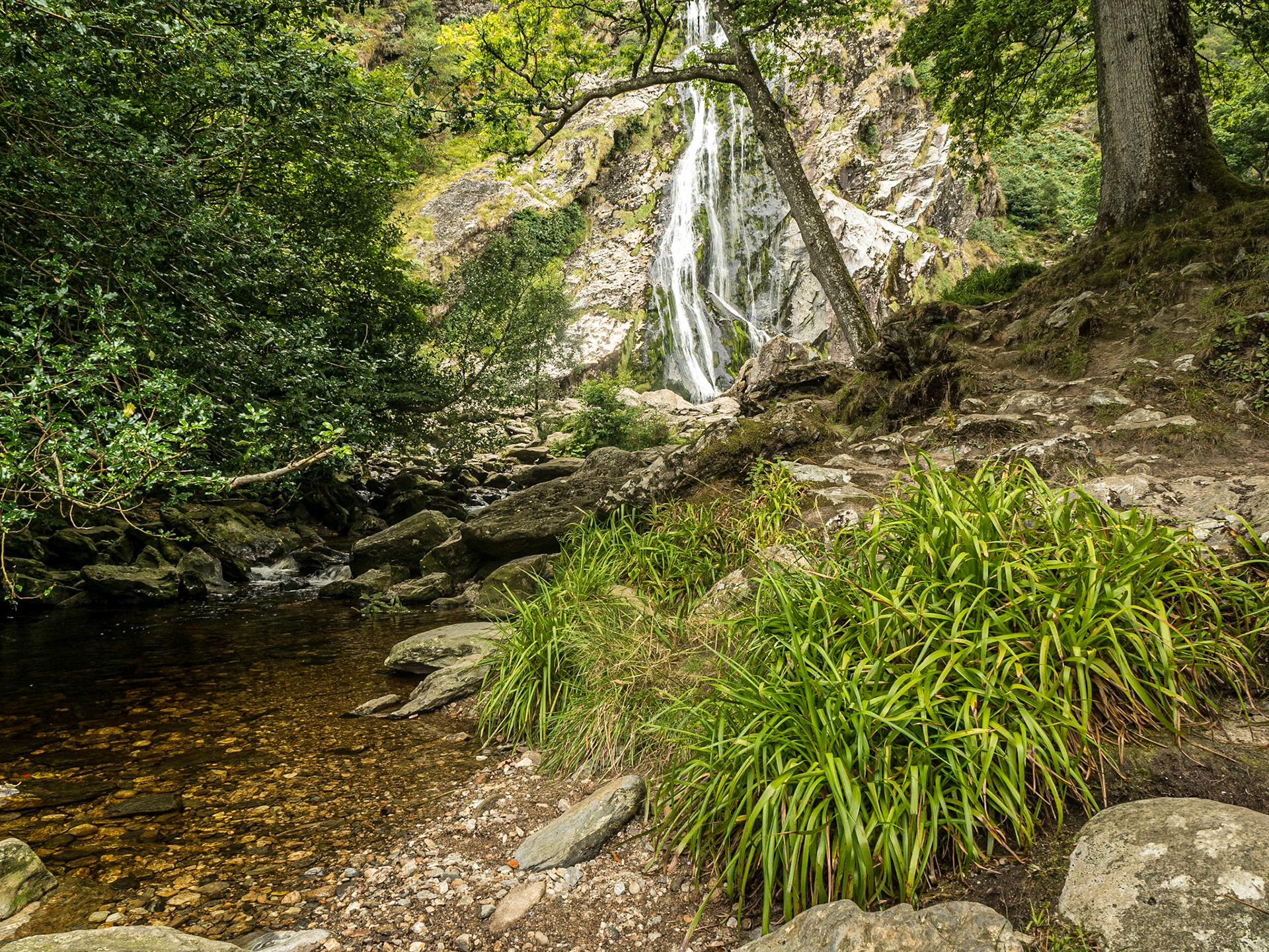 Powerscourt waterfall, 1 Sep 2016