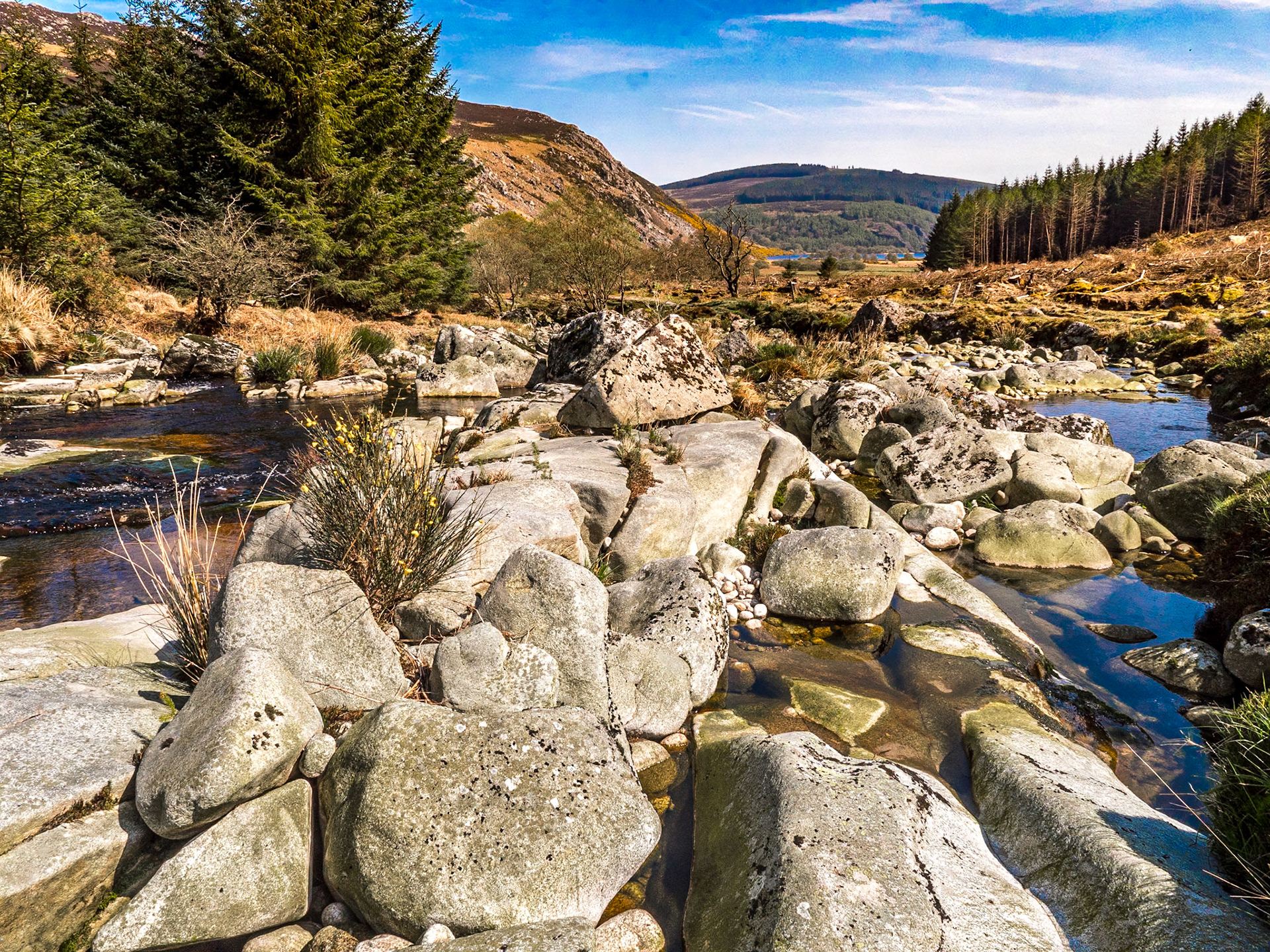 Inchavore River, Co Wicklow, 21 Apr 2019
