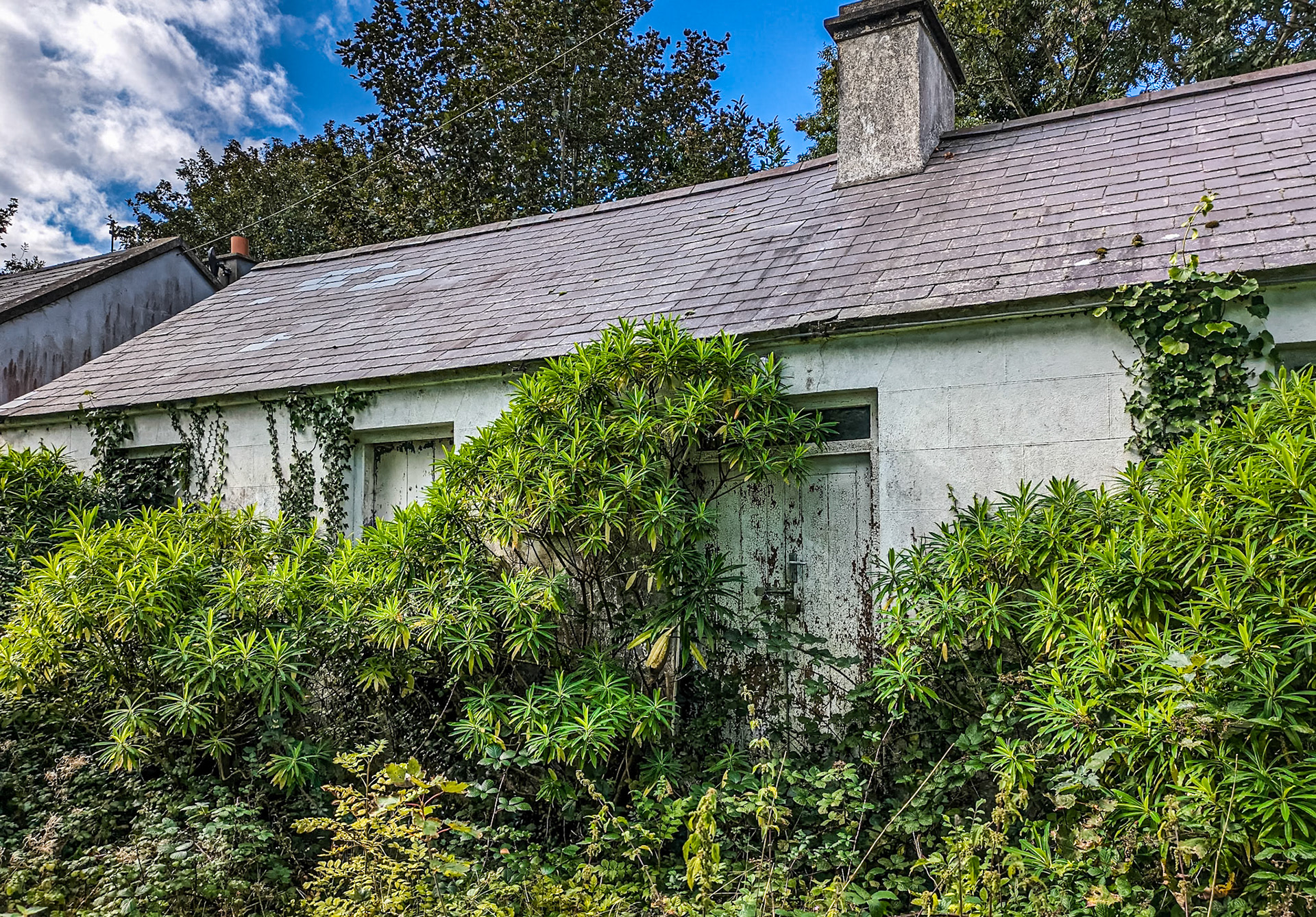 Killoughter, Co Wicklow, 21 Sep 2023