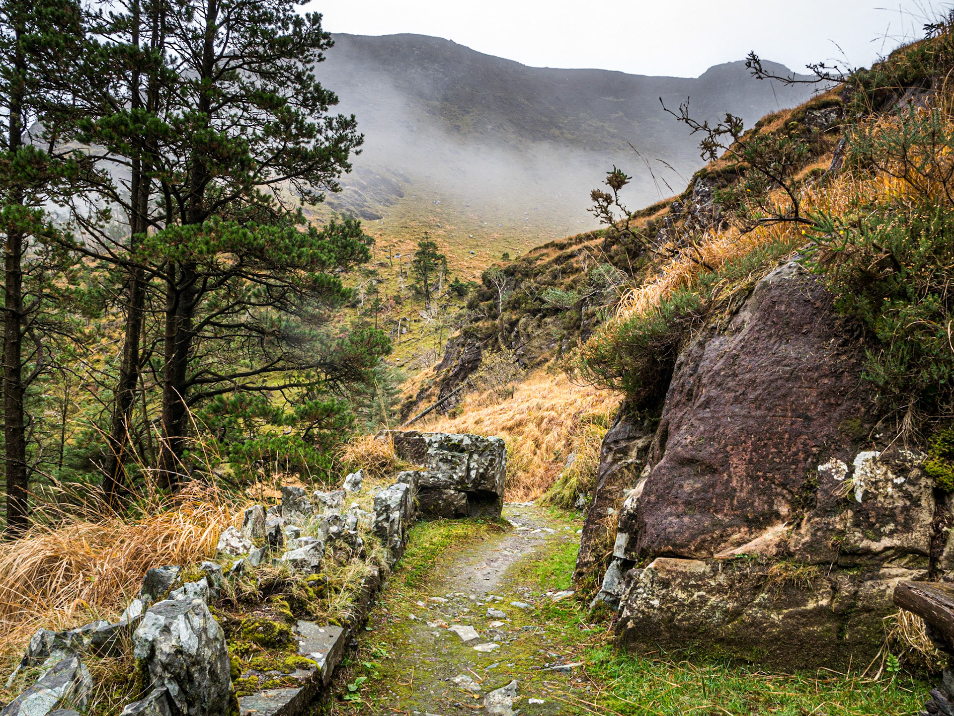 Gougane Barra Forest Park, Co Cork, 19 Nov 2016