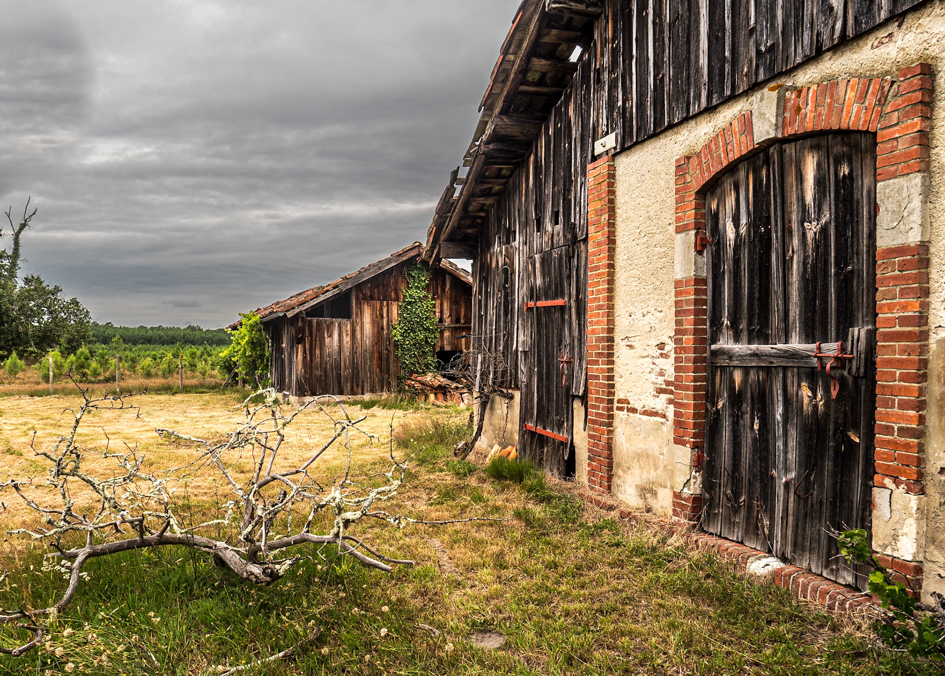 Near Lesperon, France, 27 Jul 2021