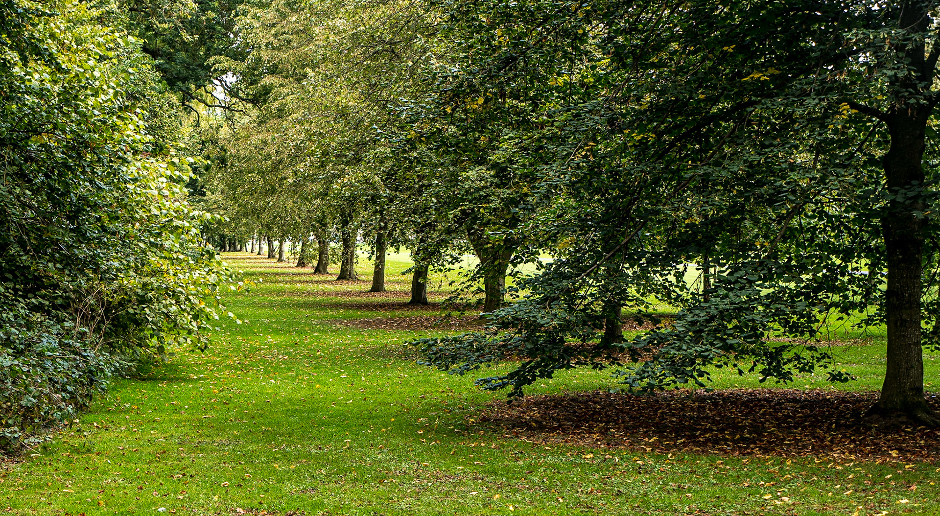 Maynooth campus walk, Co Kildare, 4 Oct 2015