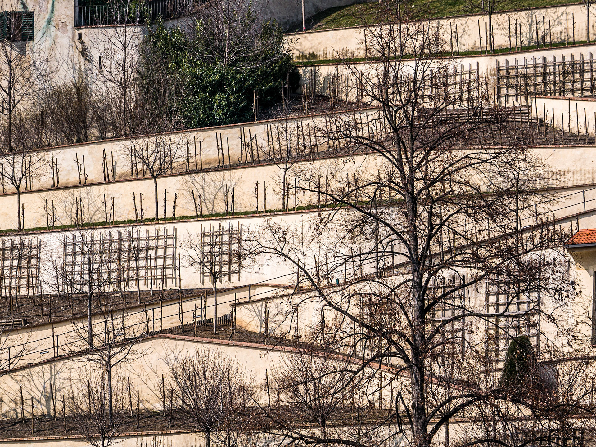 Below Prague castle, 21 Mar 2015